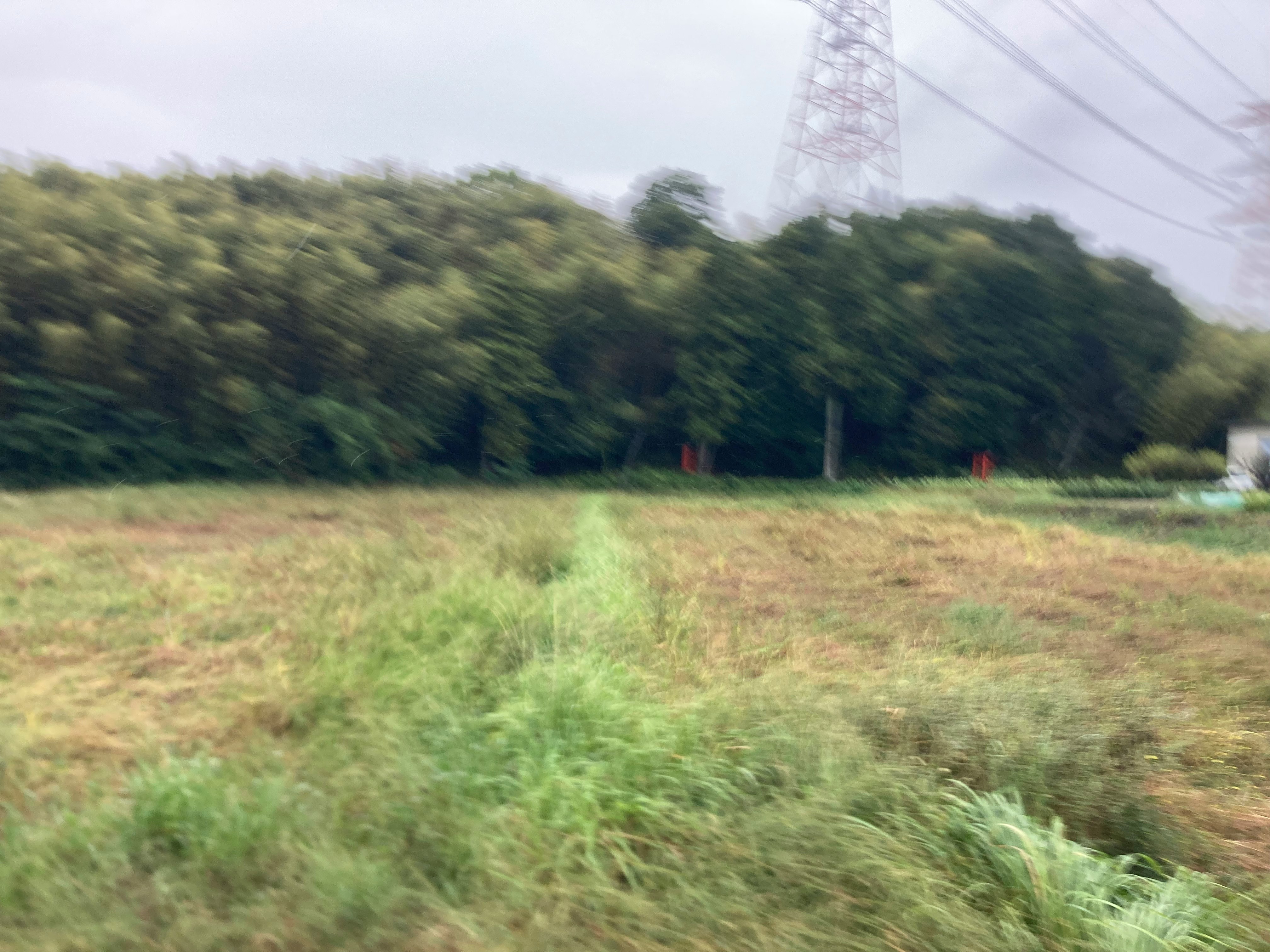 草地与输电塔的郊外景观