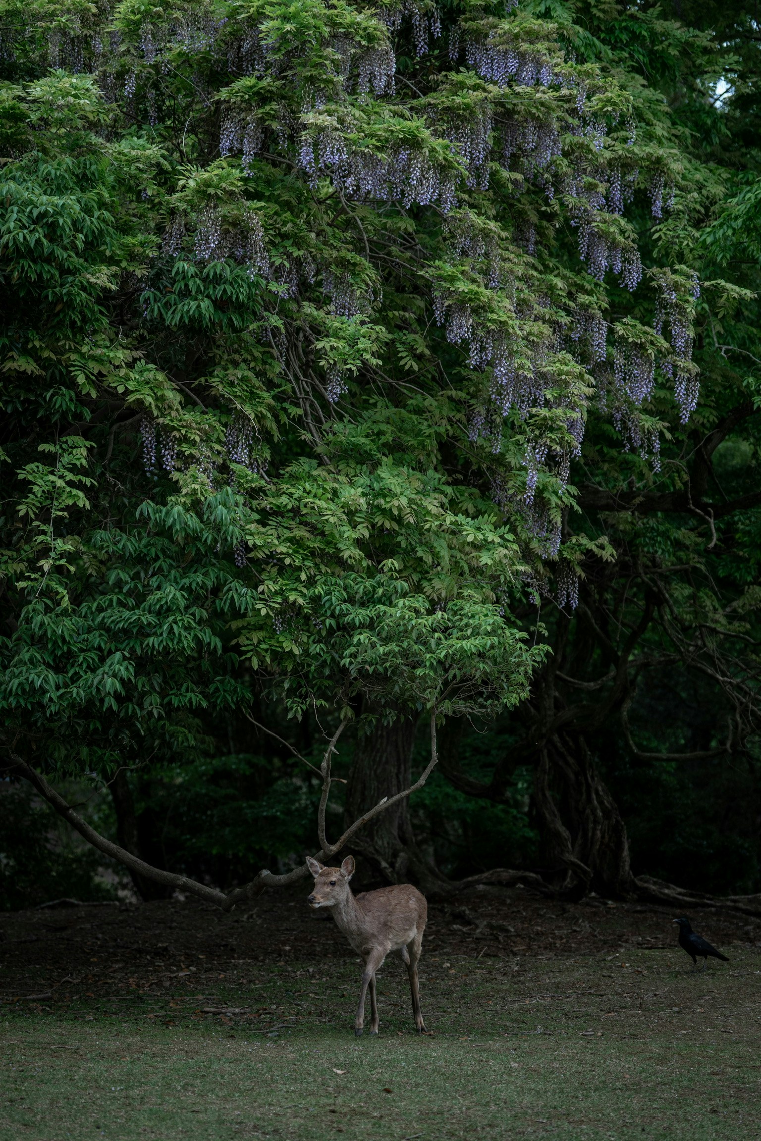 photo-LVxJJ7oEnAz1DVT5G6dD-image