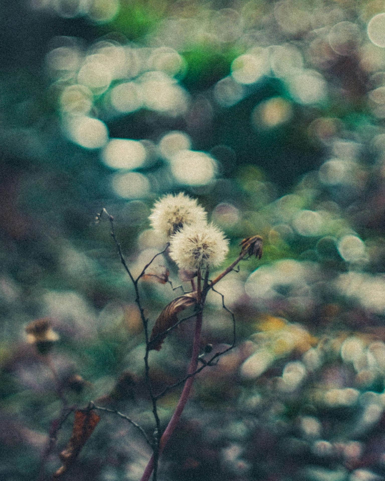photo-LVyRgFtKKPijvzQU1lsJ-image
