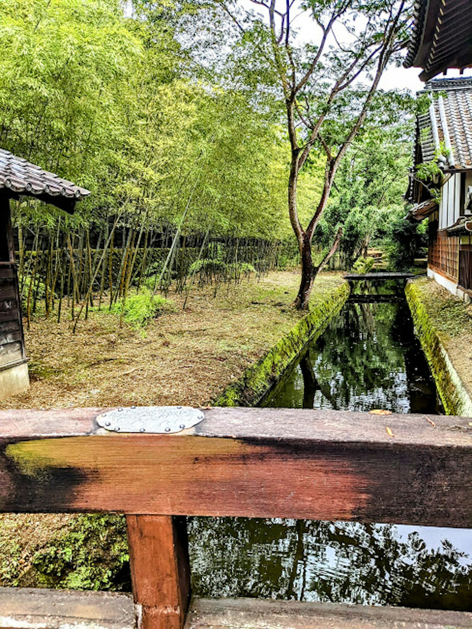 Una vista serena del giardino con bambù e un corso d'acqua