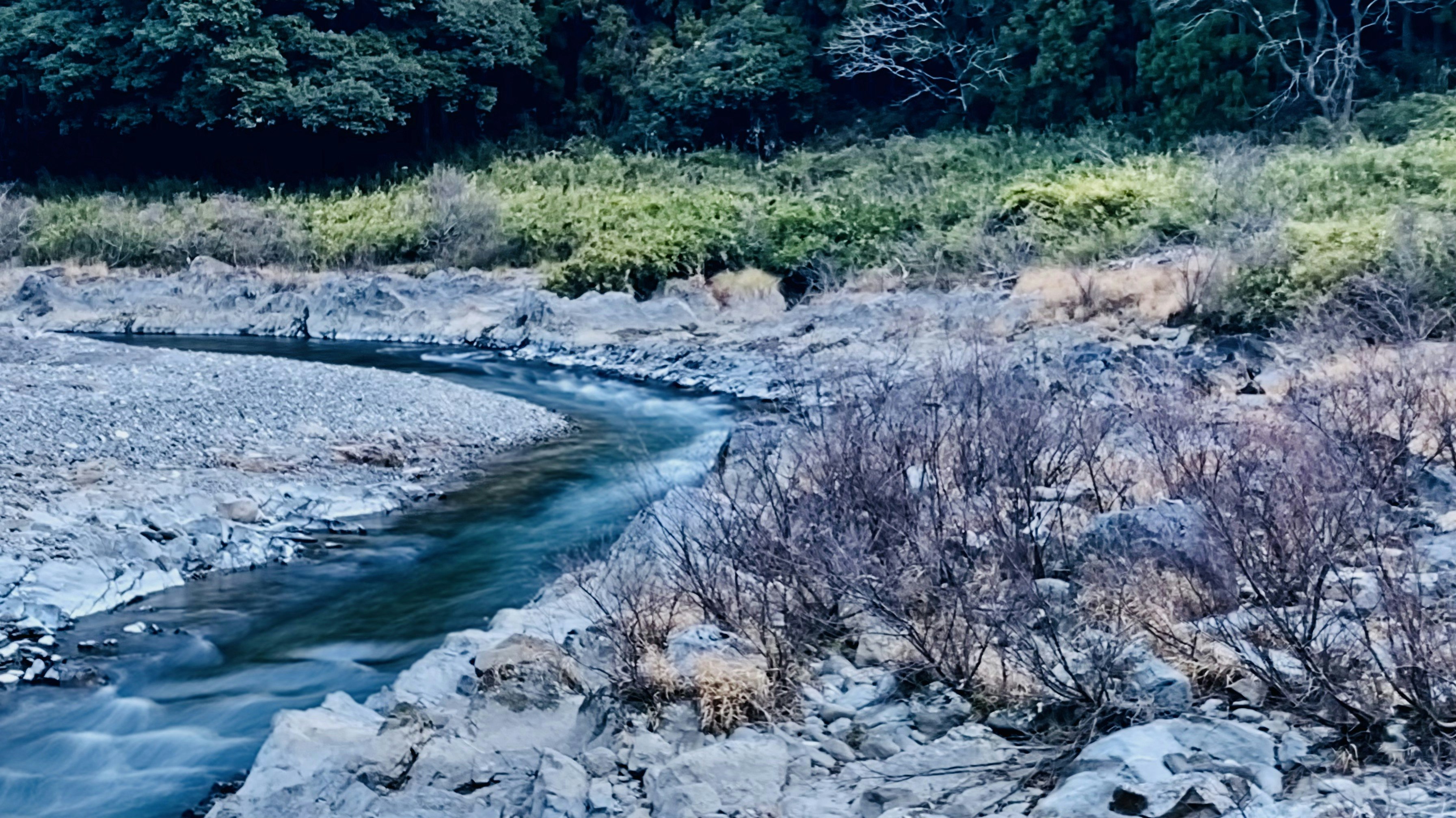 岩石河岸與枯樹映襯的急流河景