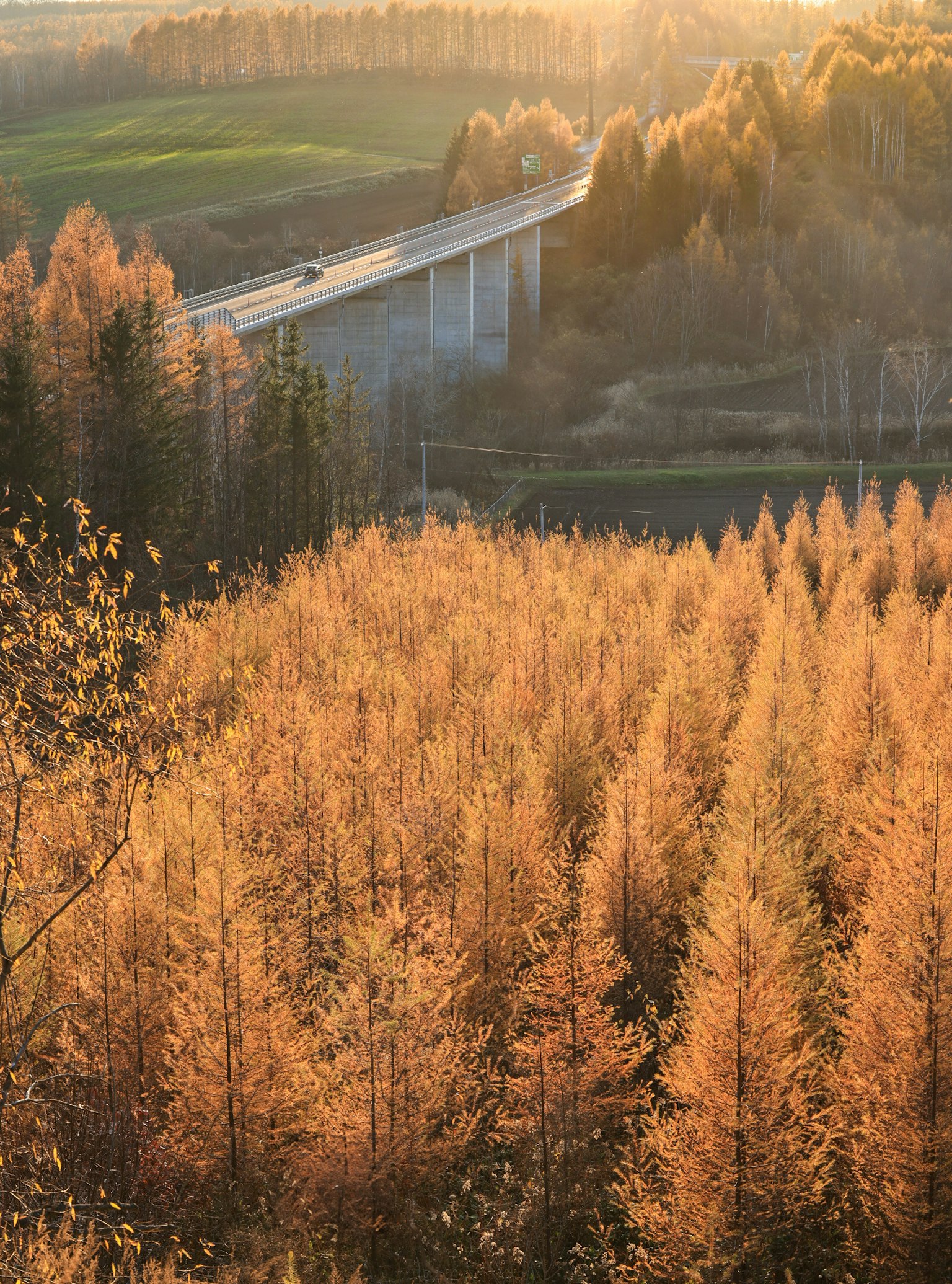 Scenic autumn forest with a bridge and highway