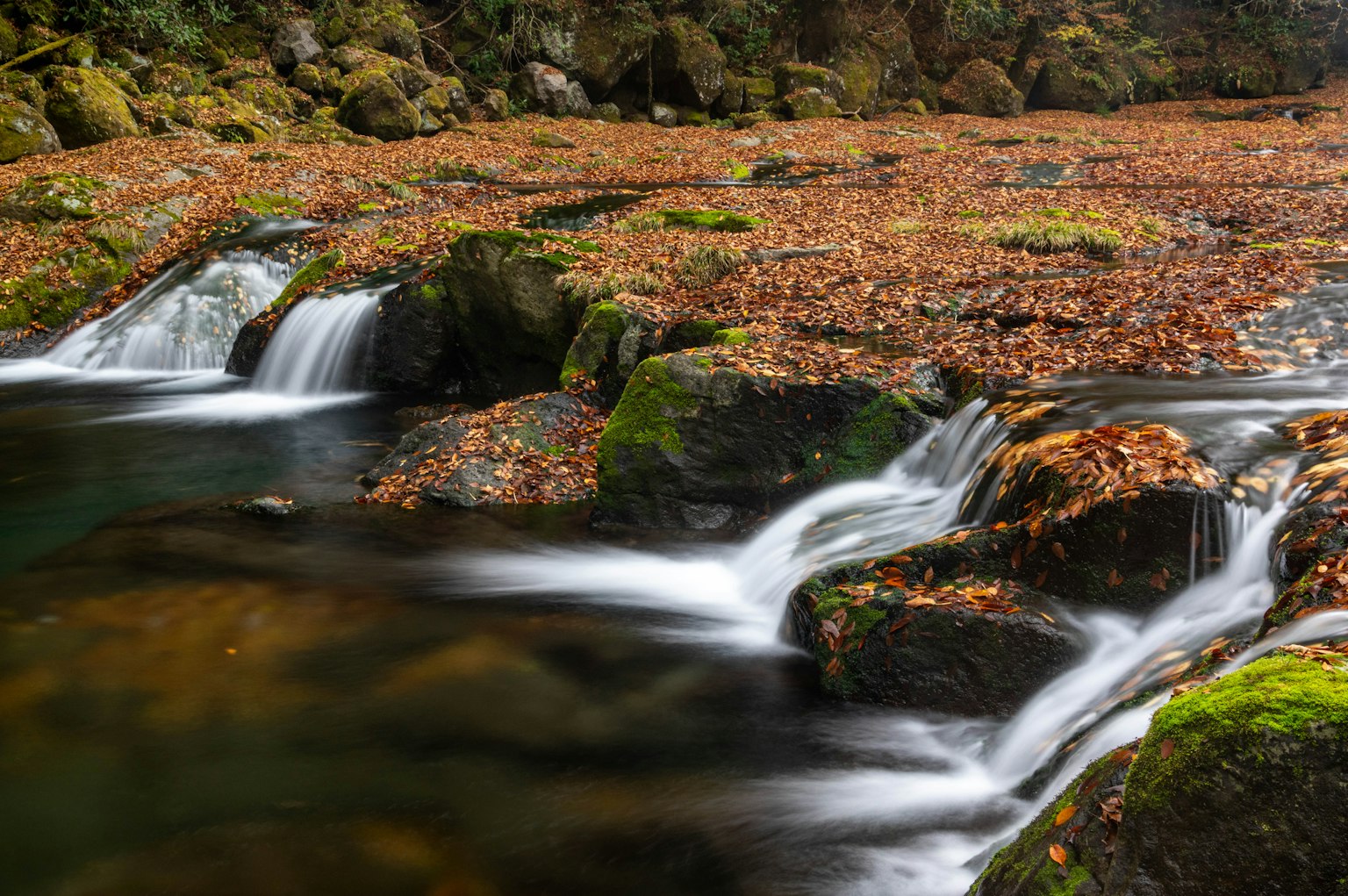 Arroyo con agua fluyendo y rocas cubiertas de hojas de otoño