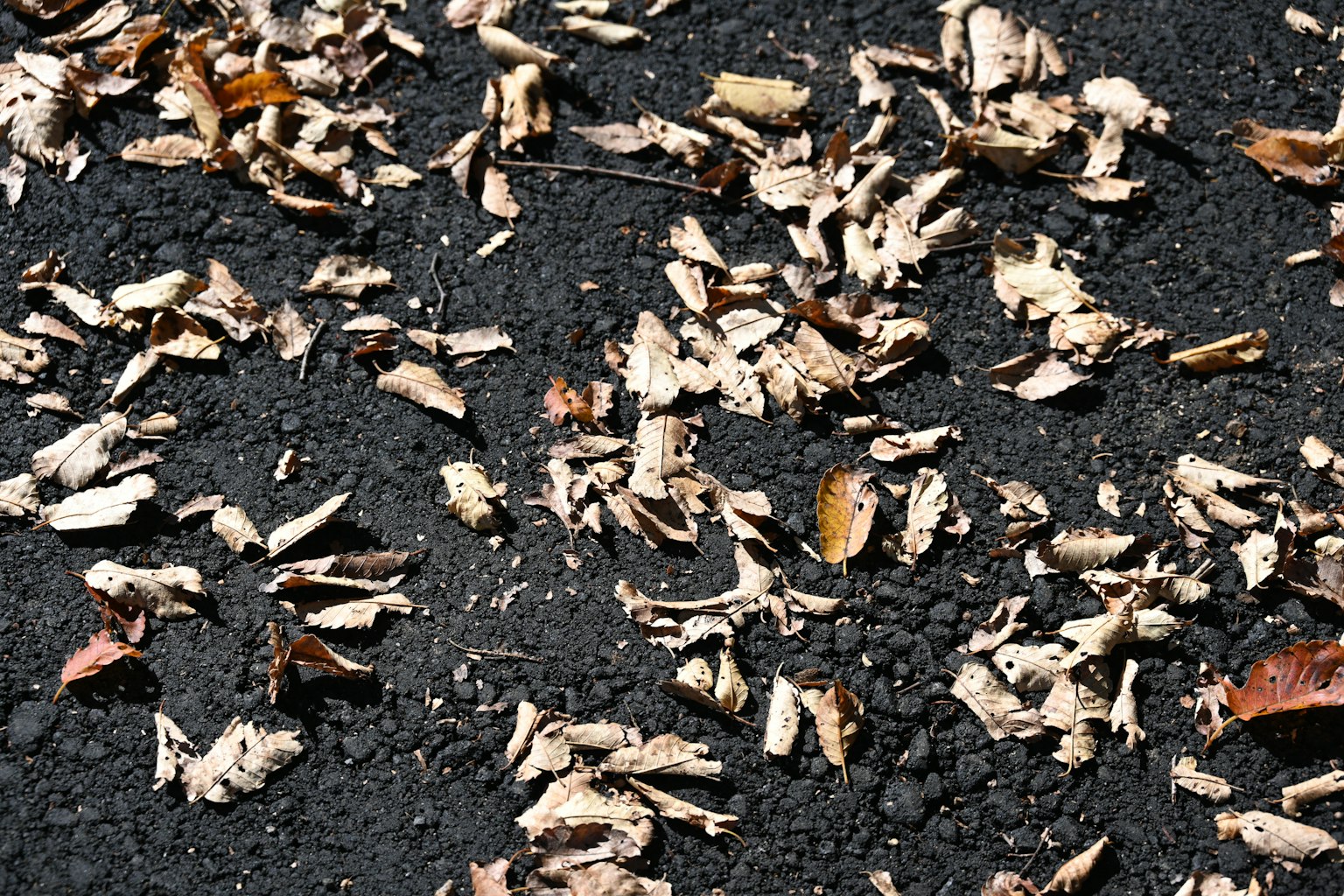 photo-LXLsdhlBDbILChpKF1U3-image