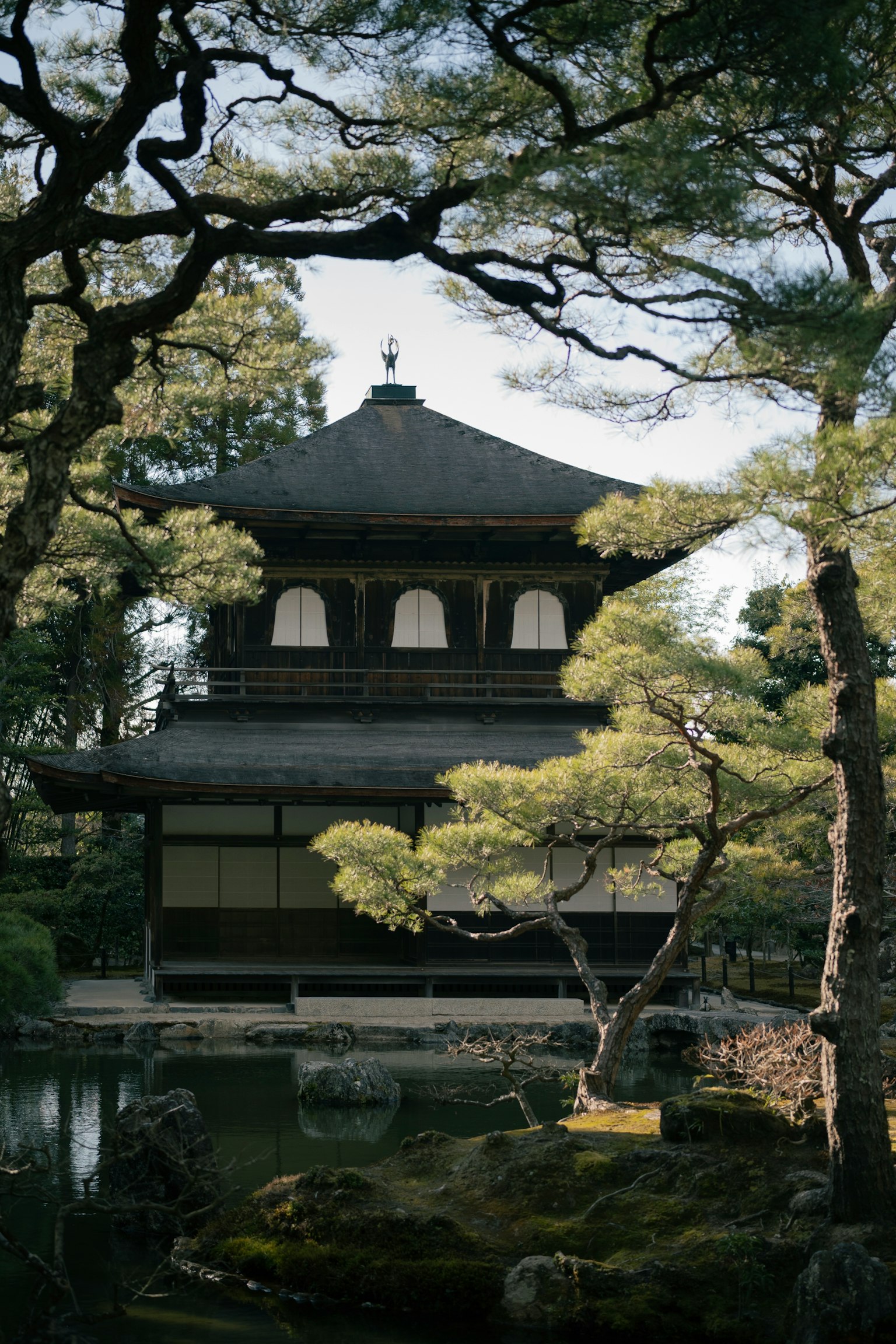 Vue pittoresque du Ginkaku-ji avec des pins et un étang