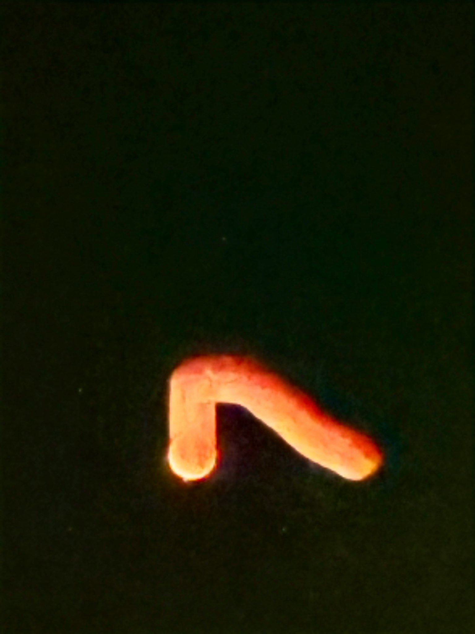 Objet rouge courbé sur un fond sombre