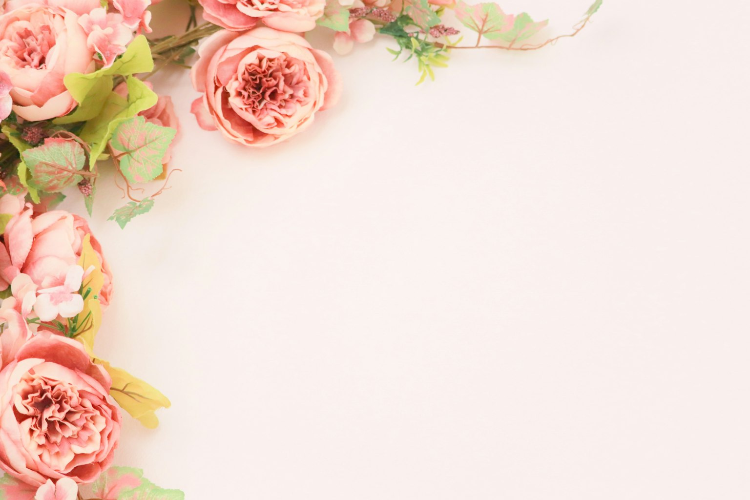 Sanfte rosa Rosen und grüne Blätter auf einem einfachen Hintergrund angeordnet