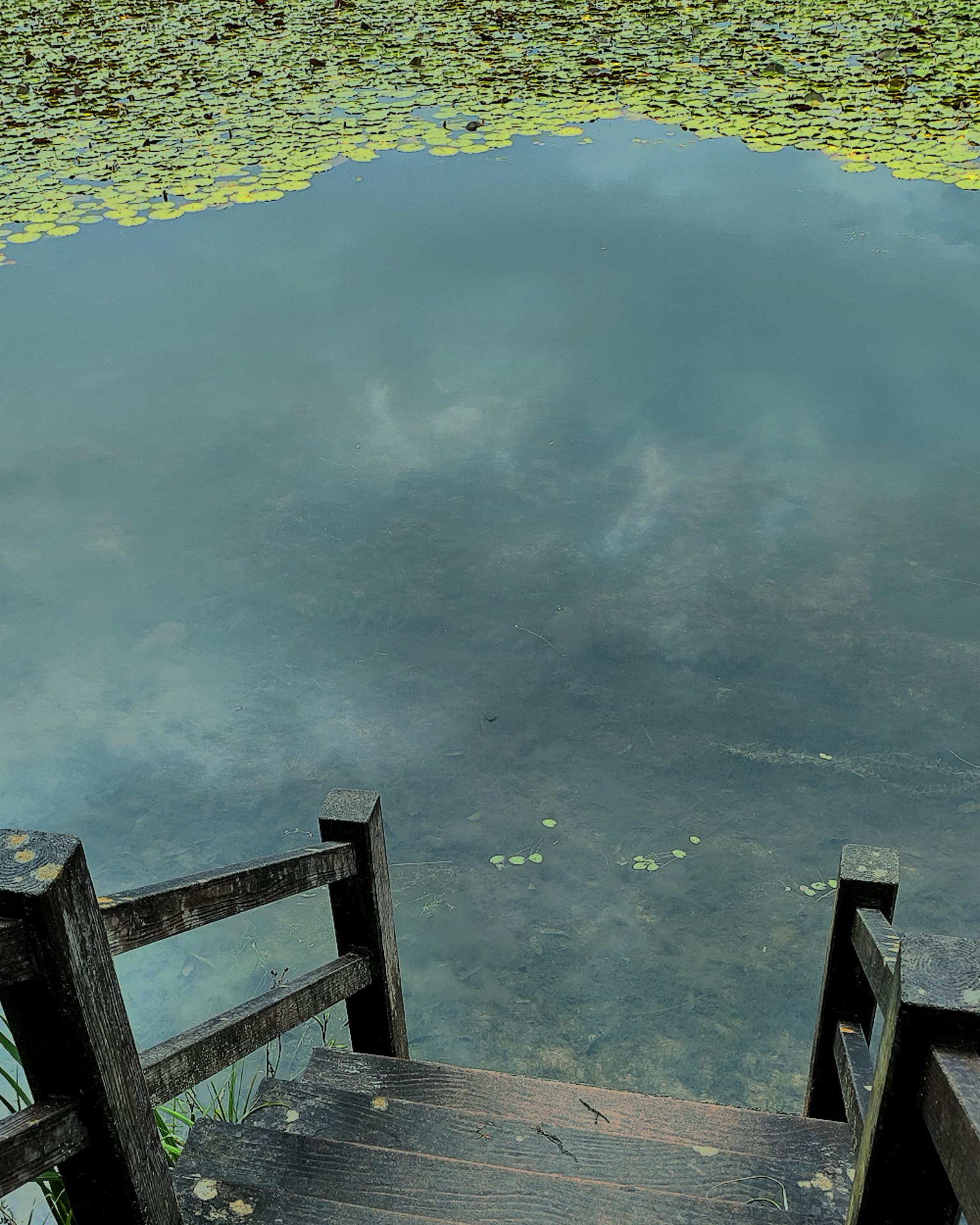 Una superficie d'acqua serena che riflette il cielo e la vegetazione circostante con gradini in legno