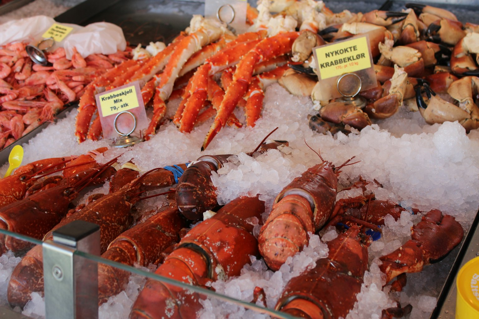 Pameran makanan laut segar dengan kerang berwarna-warni dan ikan yang disusun di atas es