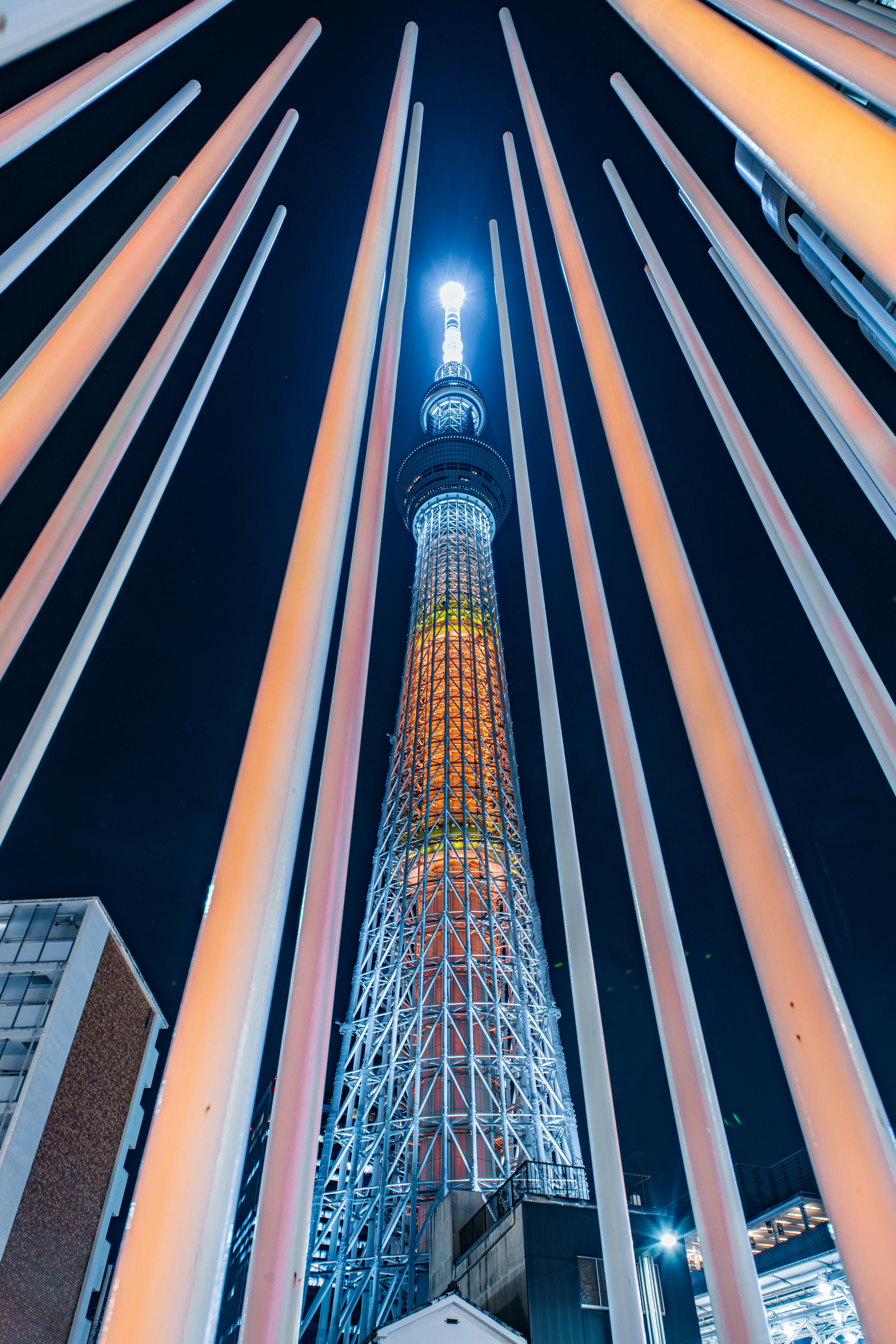 東京スカイツリーの夜景を見上げた構図