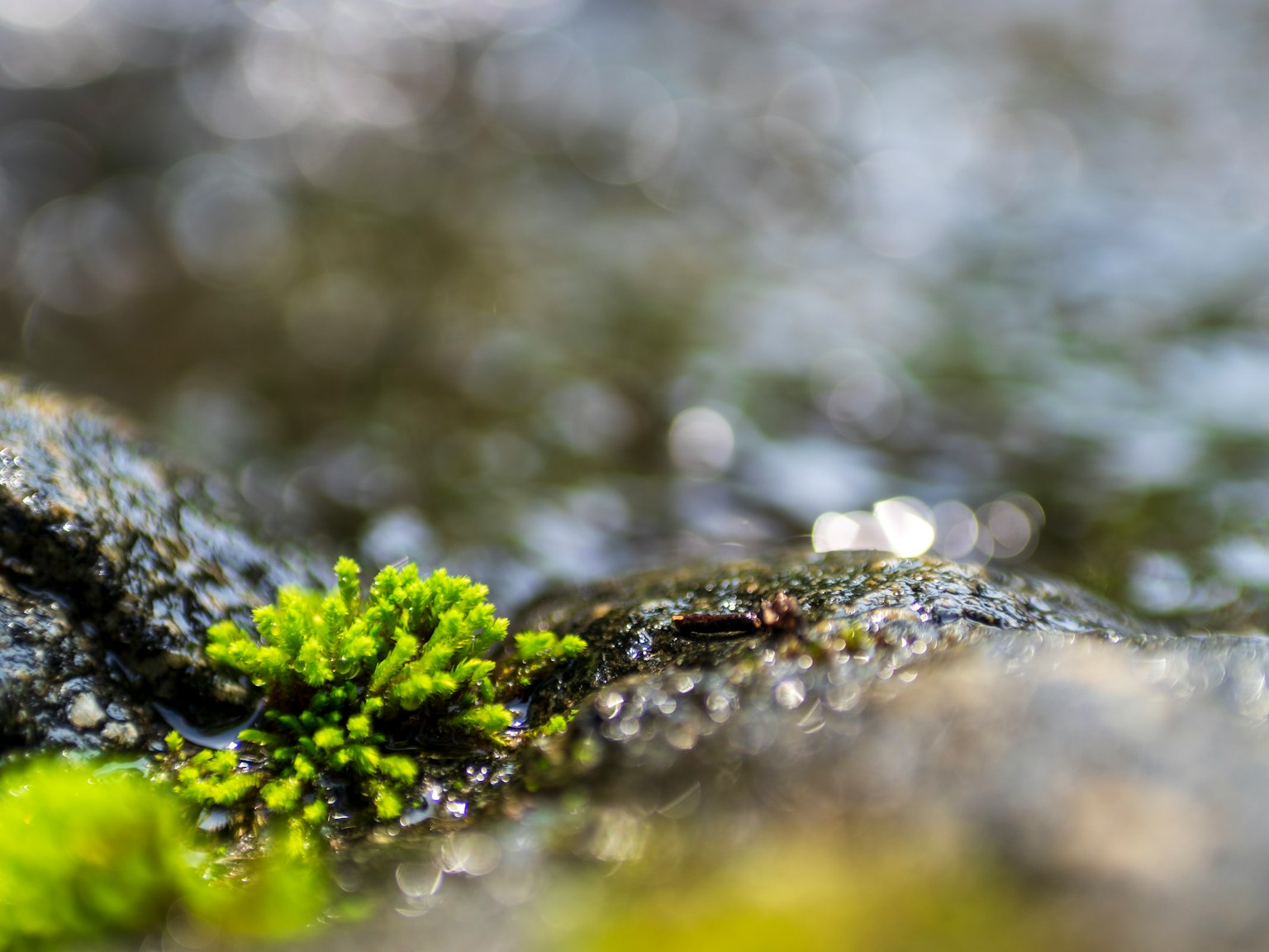 photo-LbBo3rbGmhWwzRyKUmLr-image