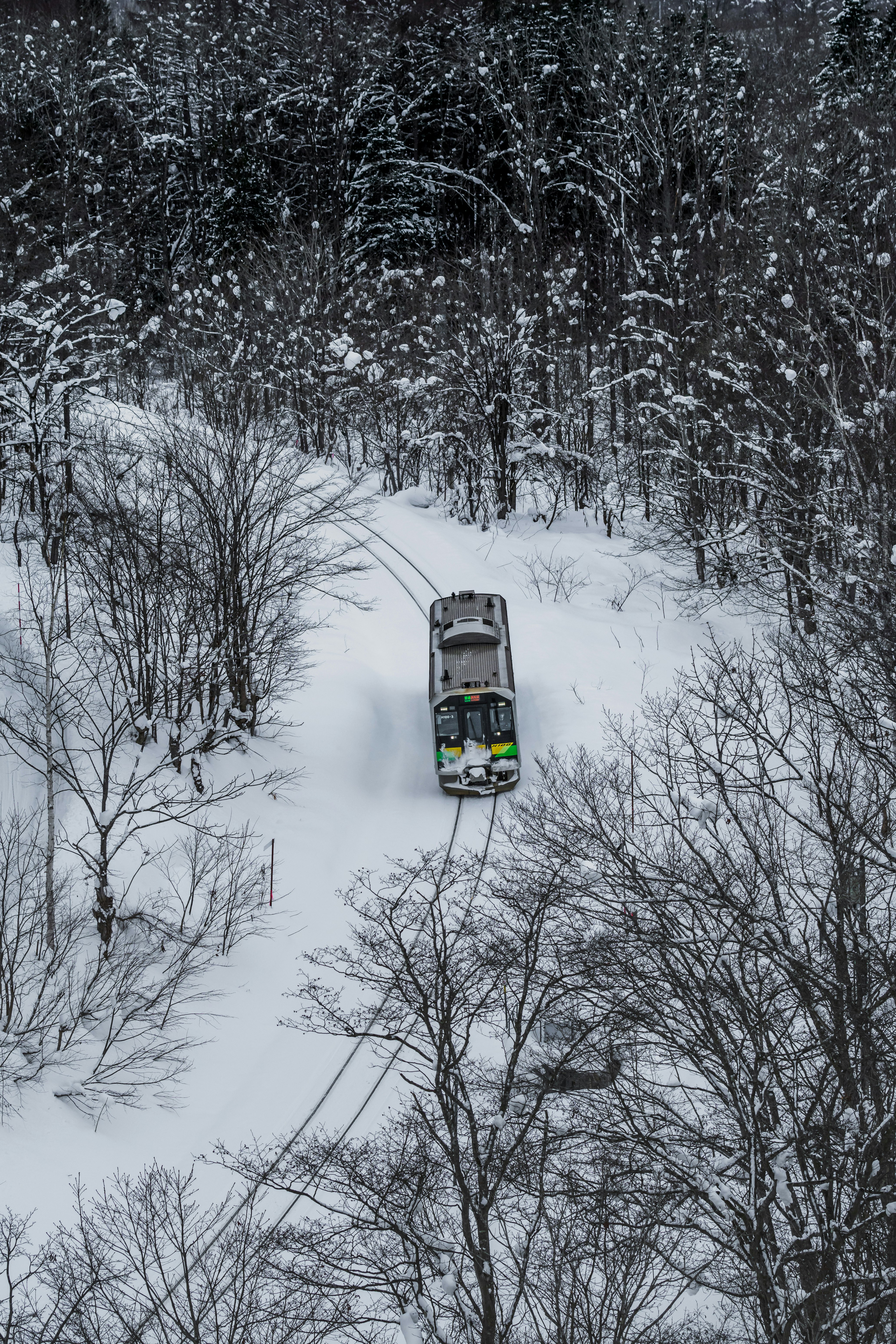 Luftaufnahme eines Zuges, der durch einen verschneiten Wald fährt