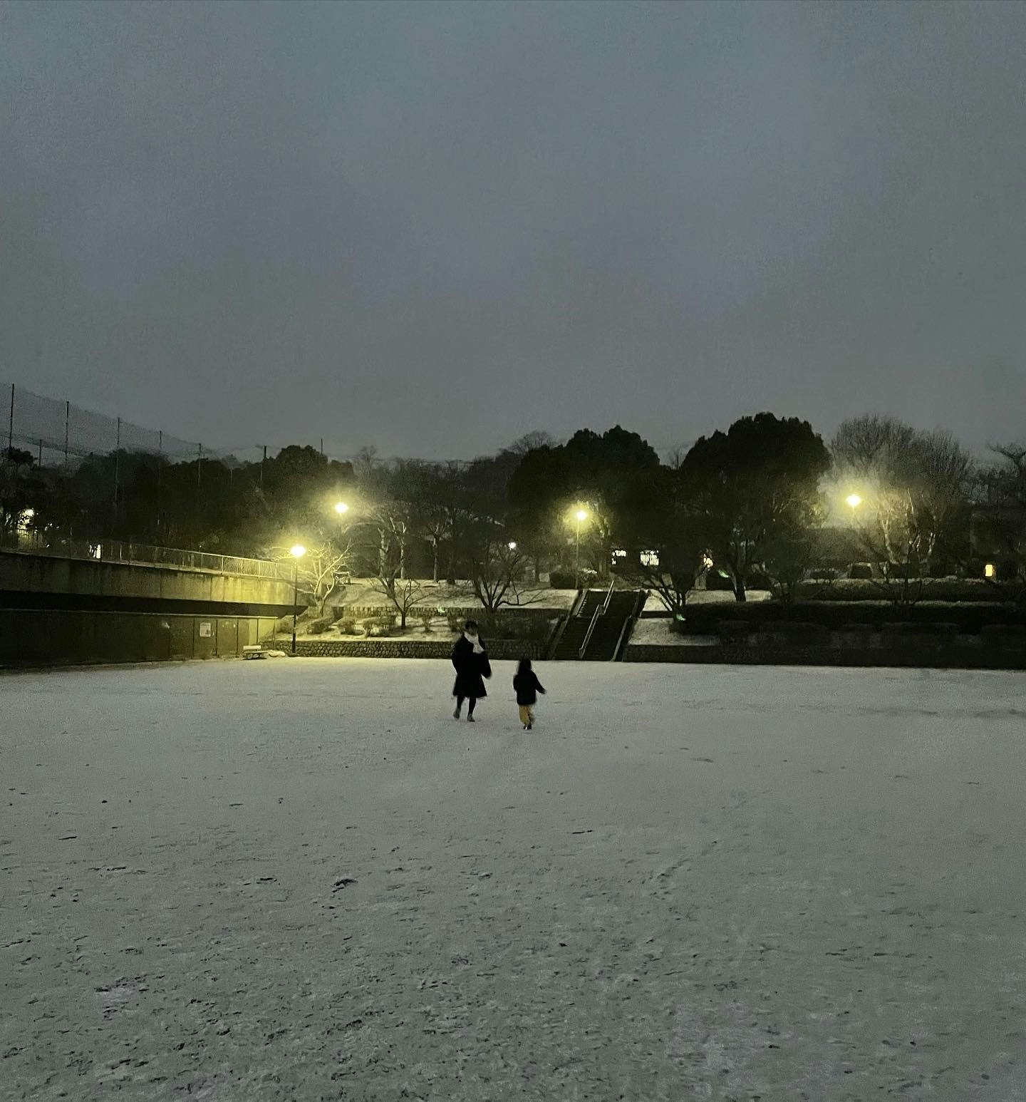 雪の積もった公園の夜、家族が歩く