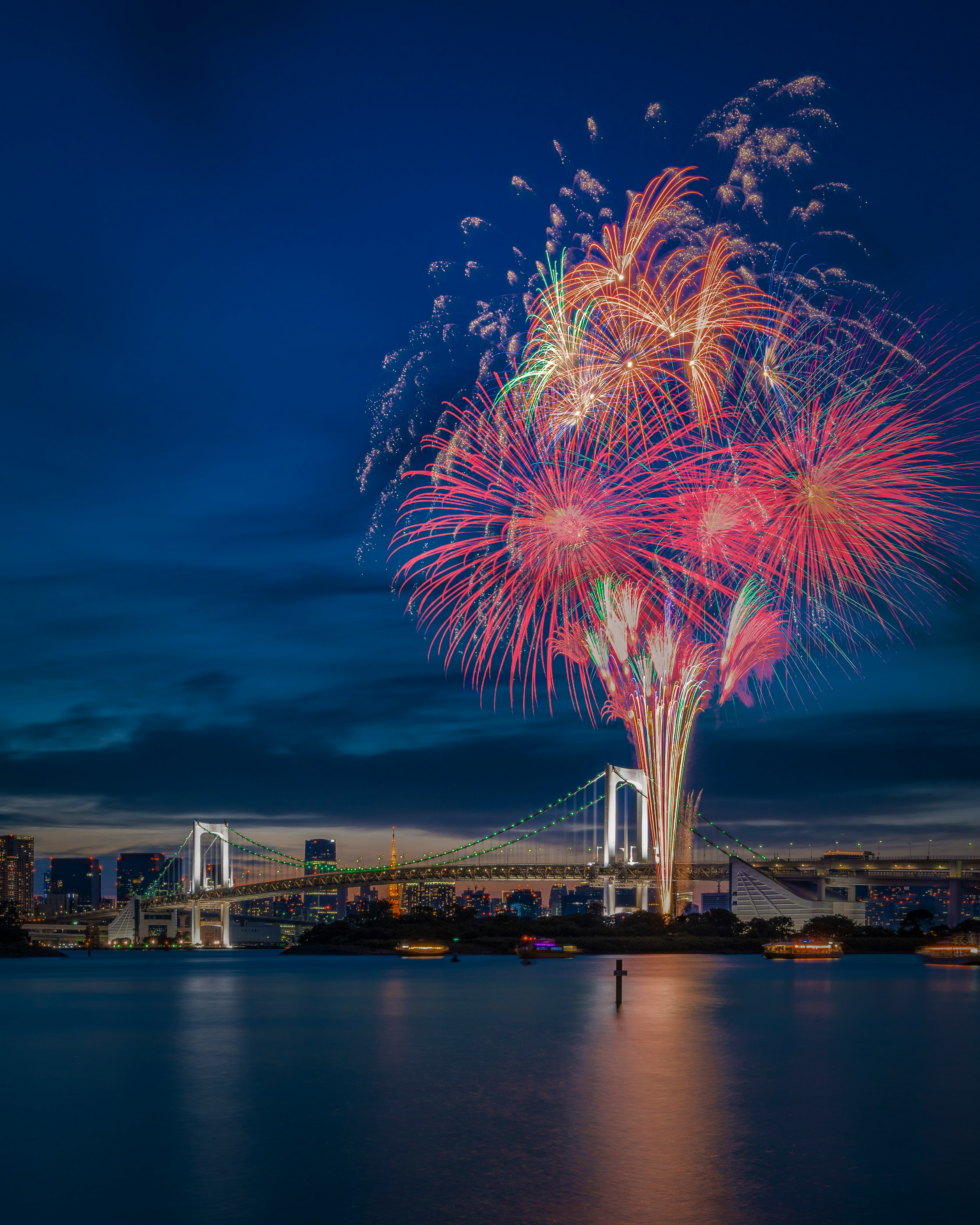 夜空に咲く色とりどりの花火と海沿いの大観覧車のある港の景色