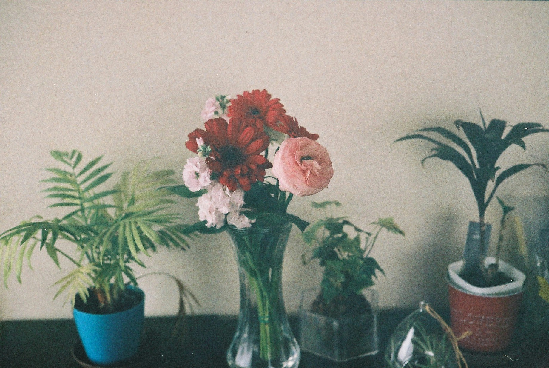 花瓶に生けられた色とりどりの花と観葉植物のある室内