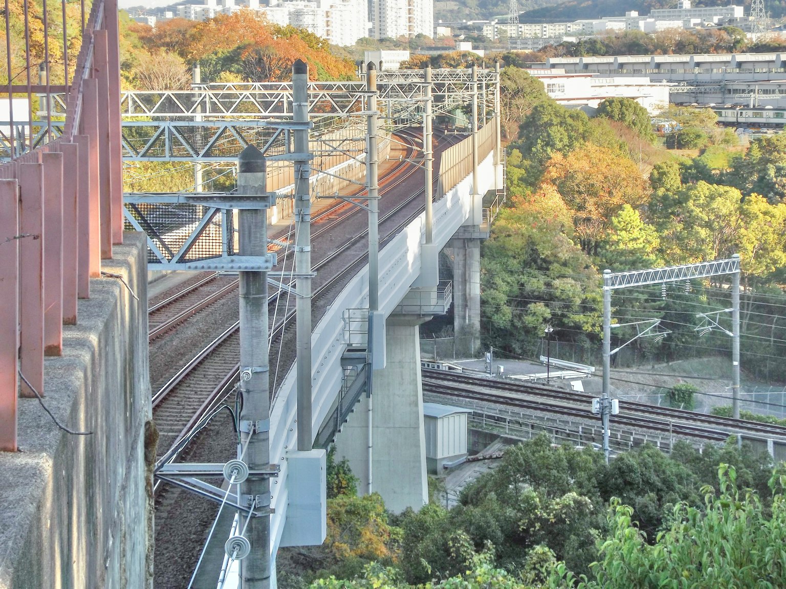 Photograph of elevated railway tracks with greenery and urban background