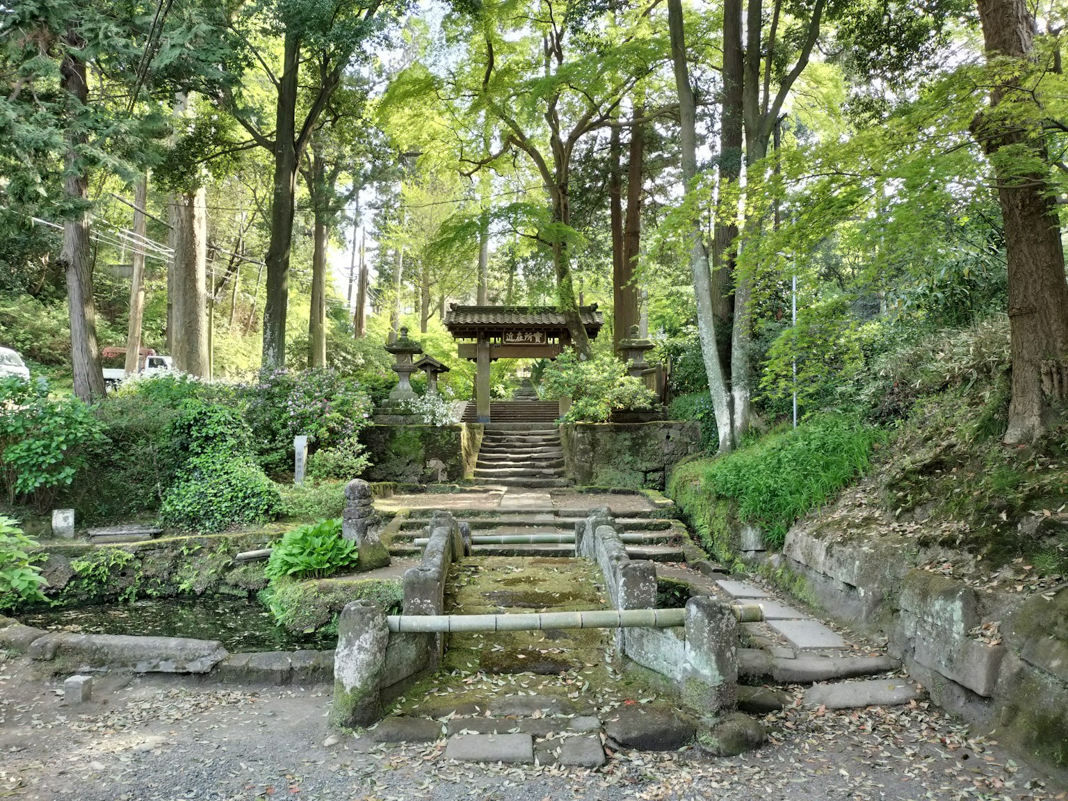 綠意盎然的森林中寧靜的神社入口，特色石階和清澈的小溪