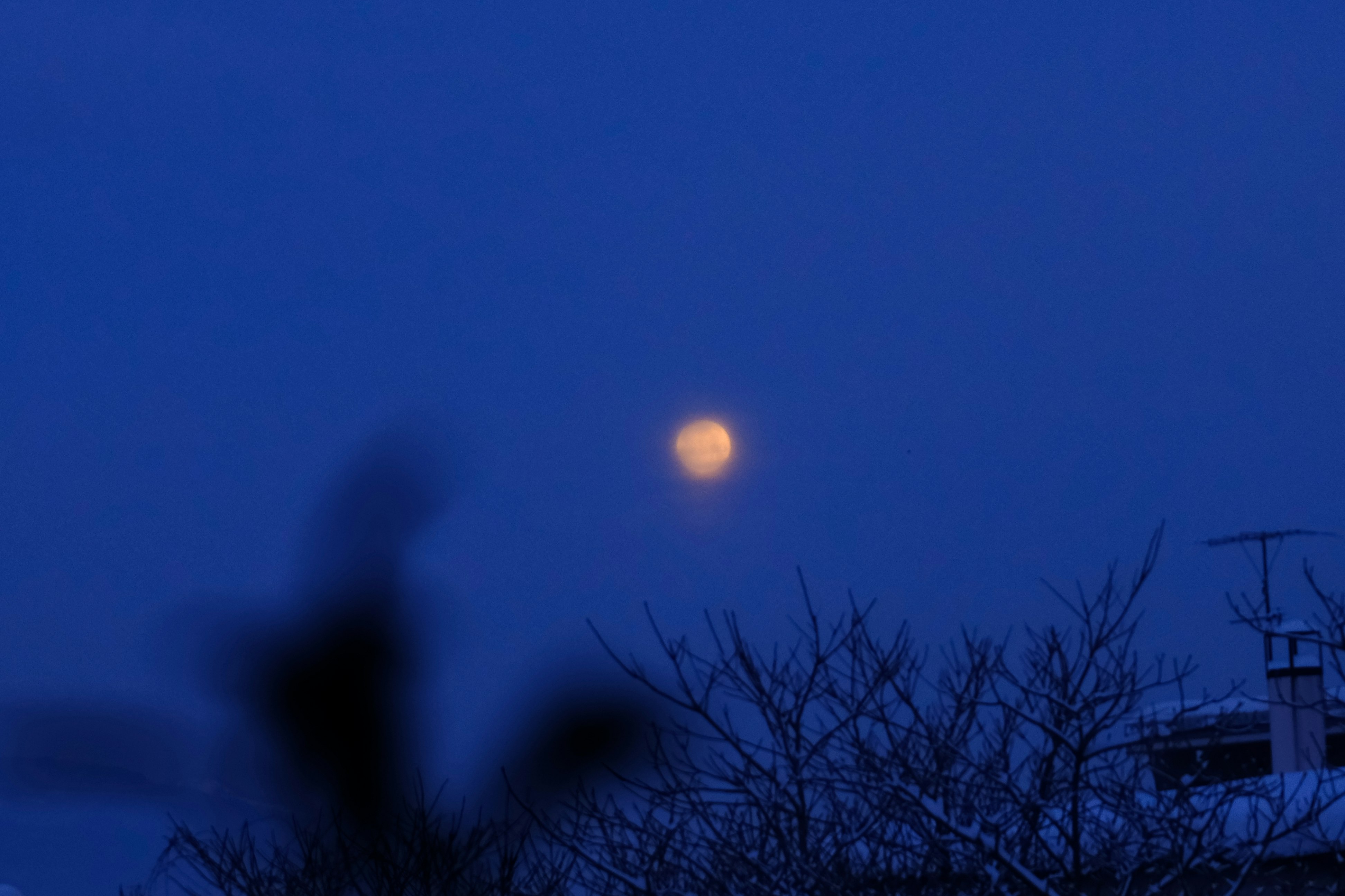 Alba a Sapporo, cielo blu illuminato dalla luna e sagome urbane