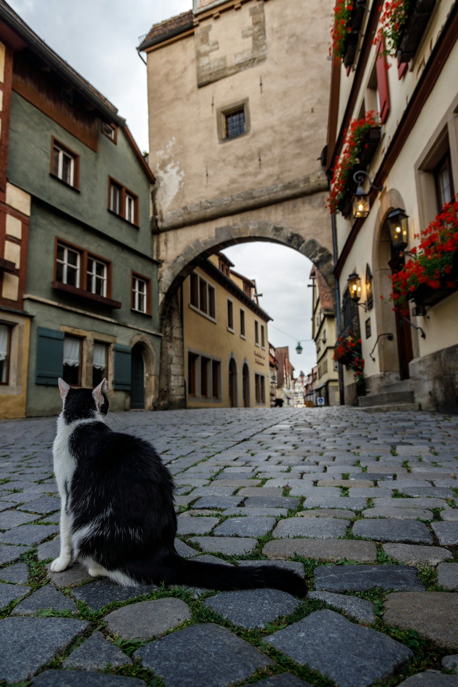 photo-Le6ovs9B1COIzBibKFZV-image