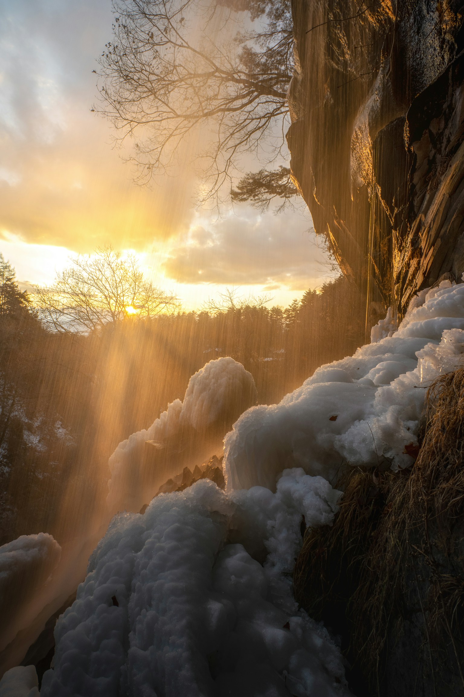 photo-LeQoA91VSlxu6JlRJQBb-image