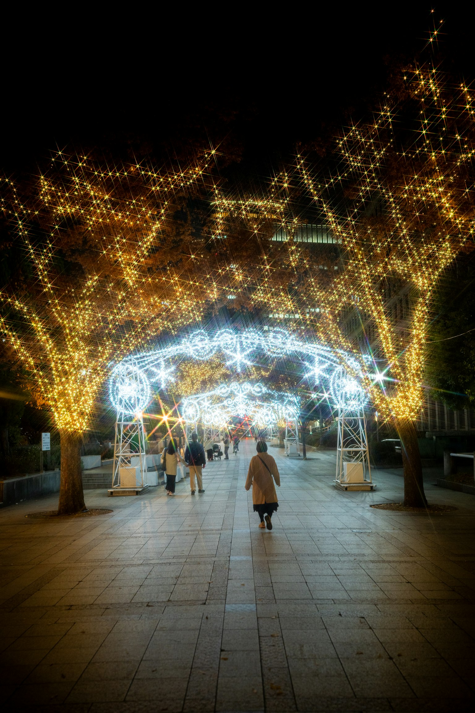 photo-Lee47Cvm0H3d9oWPZiQ0-image