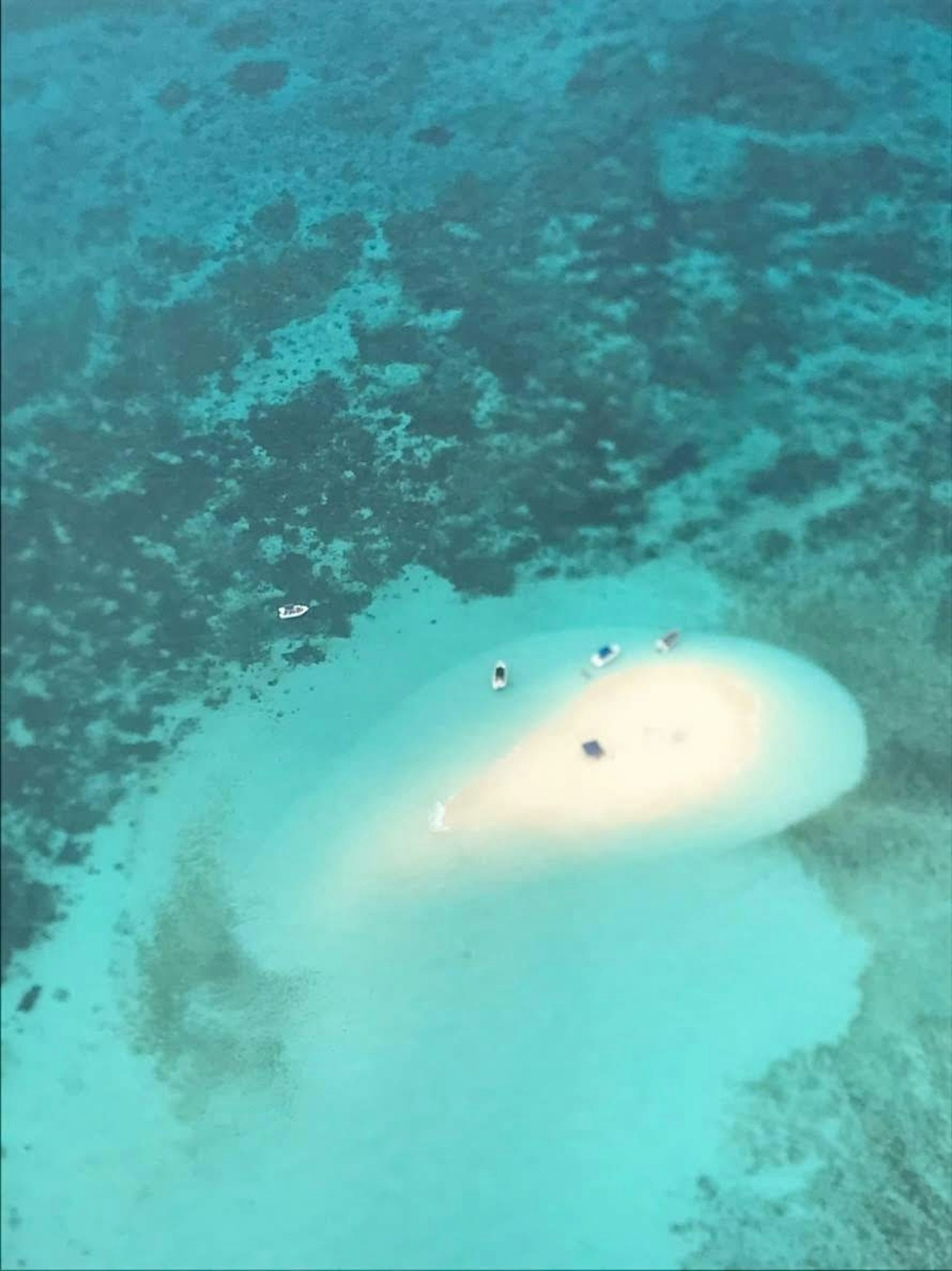 白色珊瑚礁被藍色海水環繞，旁邊有潛水員