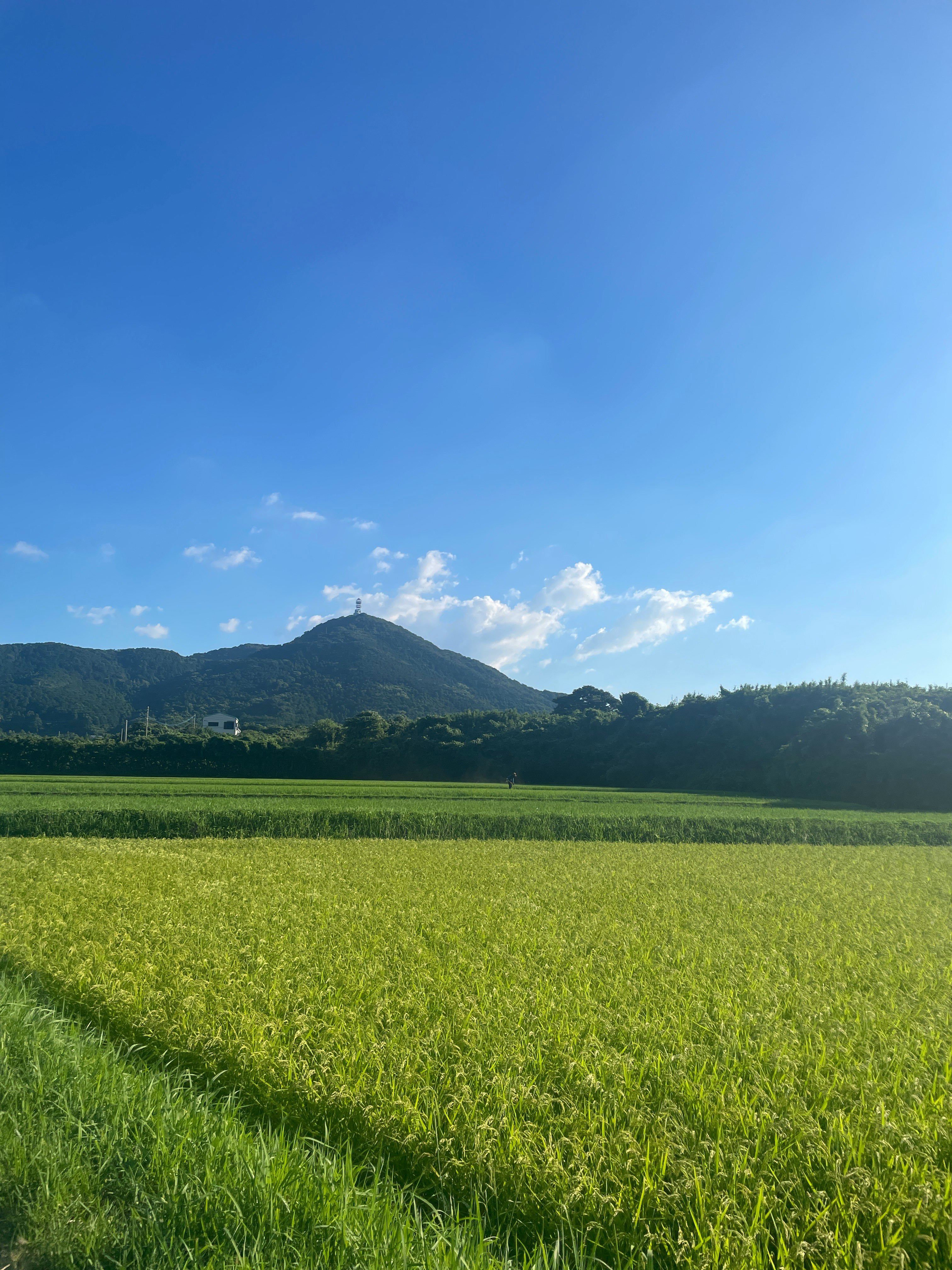 田園の緑の畑と山並み、青空の風景