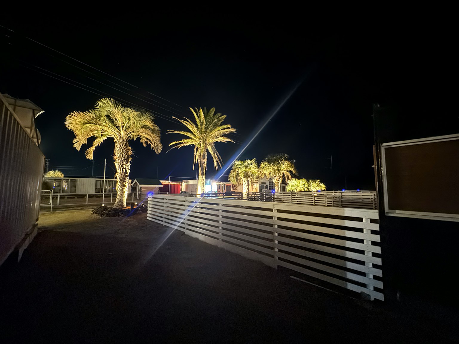 Scena notturna con palme illuminate e una recinzione bianca