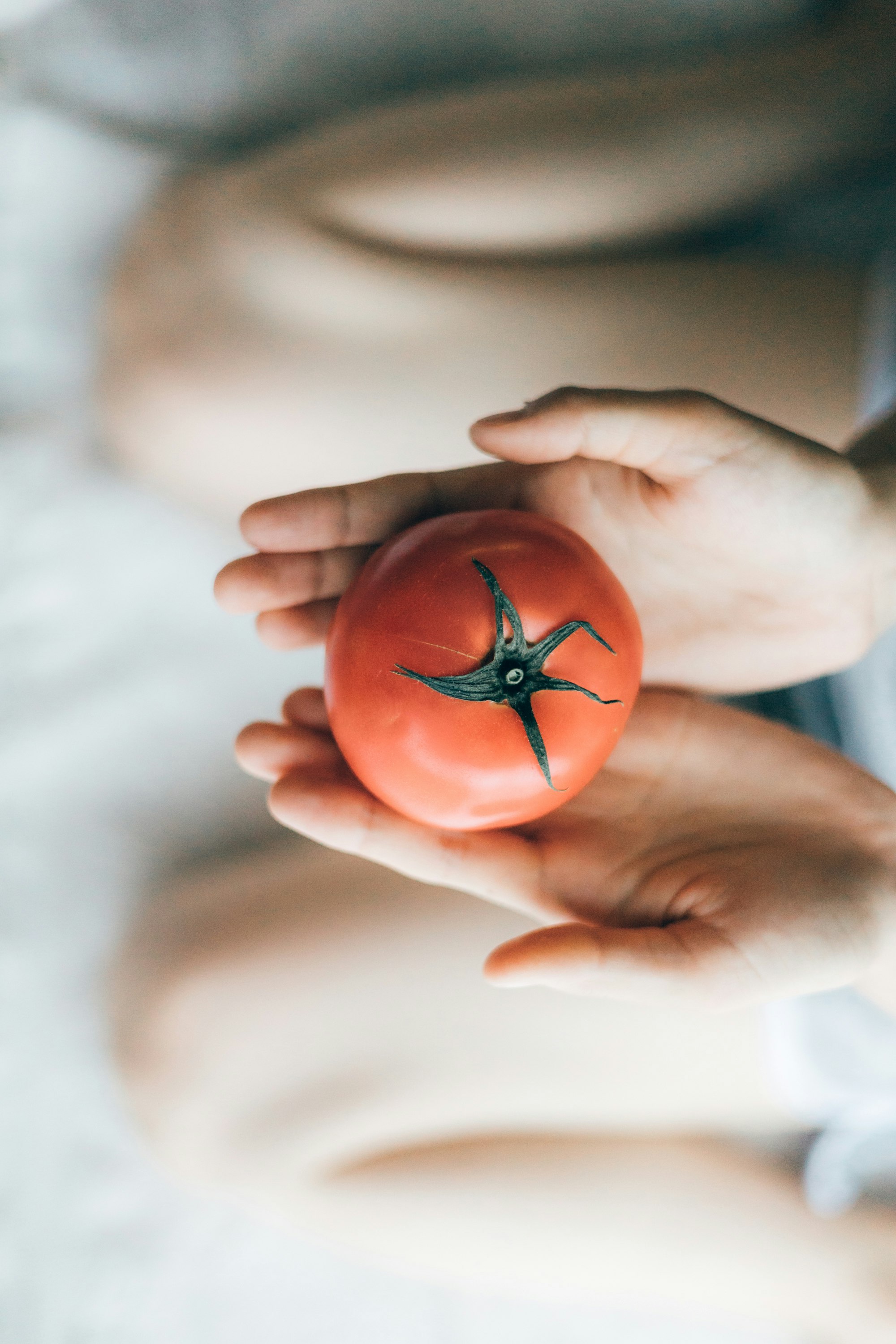 parent and child holding a tomato-shaped toy in their hands