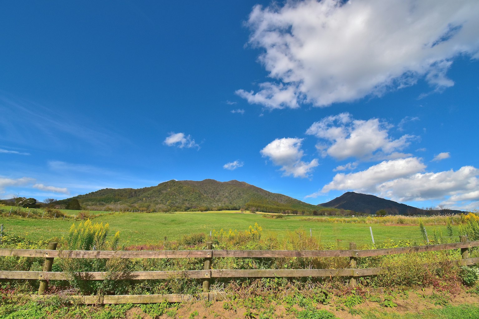 Prato verde e montagne sotto un cielo blu con nuvole bianche