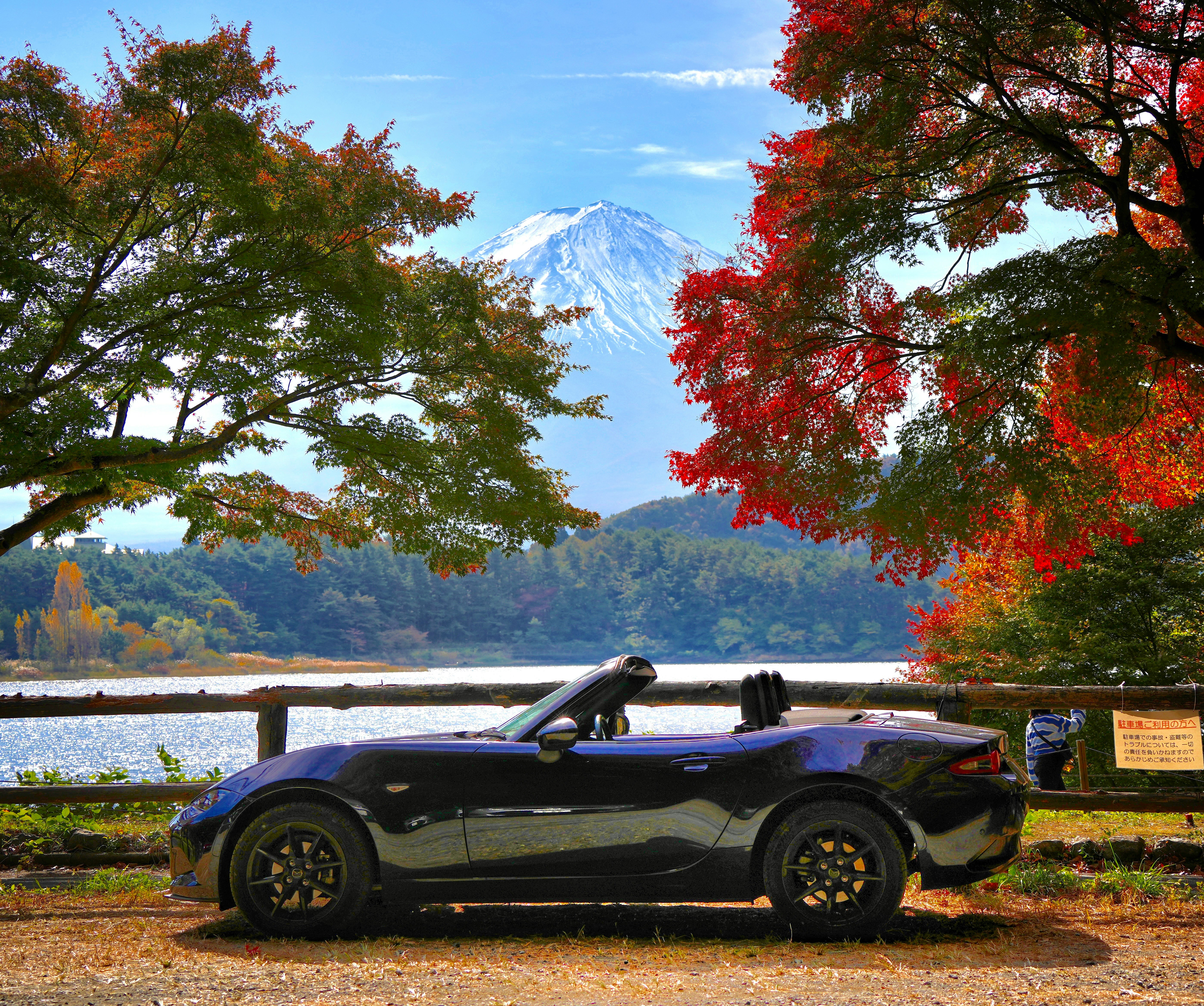 紅葉の木々と湖畔を背景にしたスポーツカー