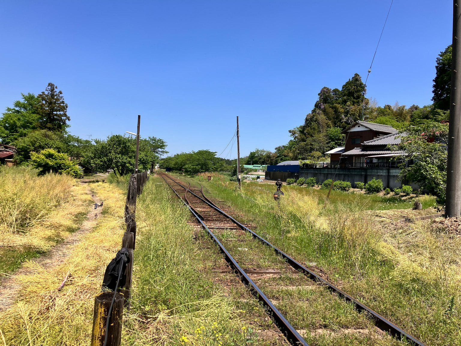 Vías de tren cubiertas de hierba con casas cercanas