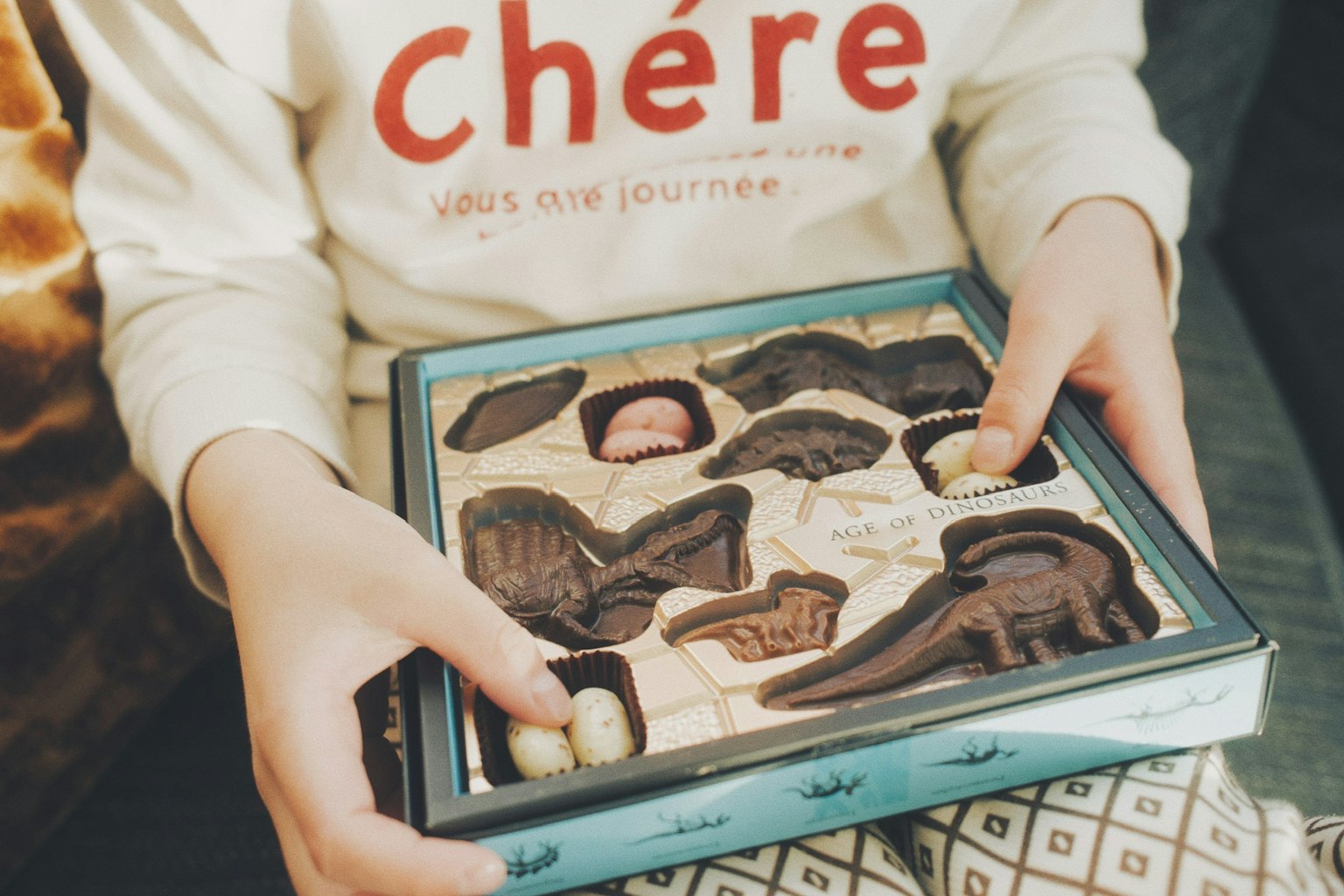 Niño sosteniendo una caja de chocolates en forma de dinosaurios y animales