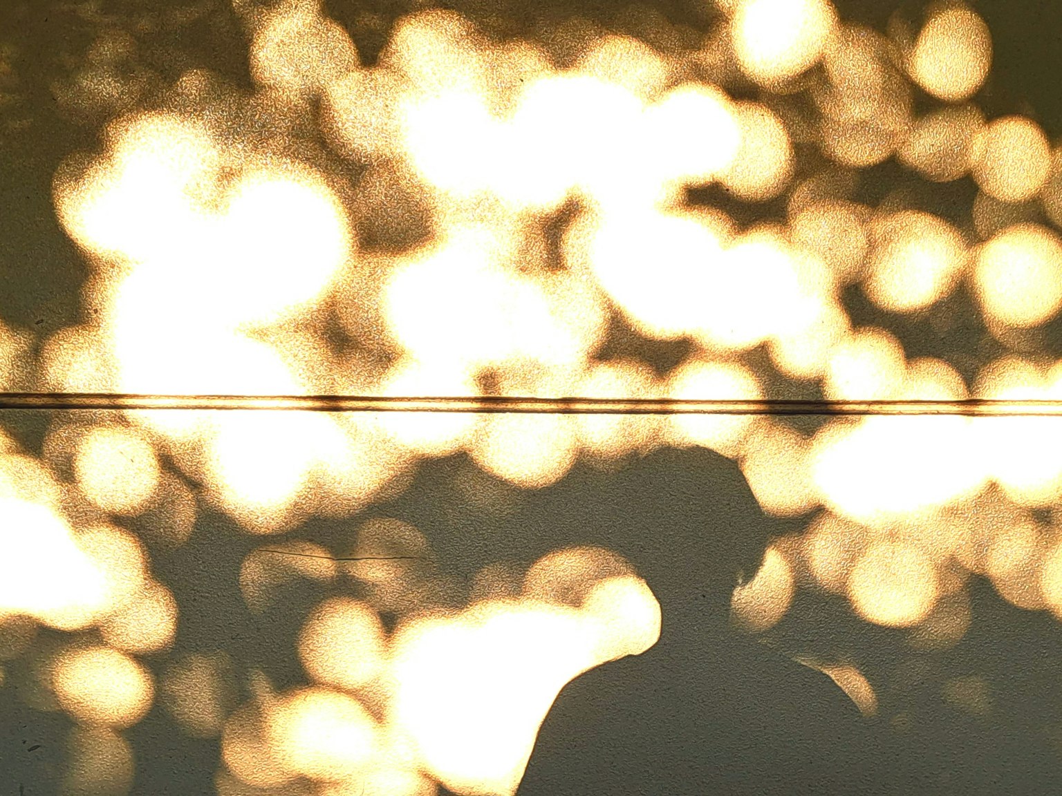 photo-LgqGX5NUcatSgndDgmJU-image