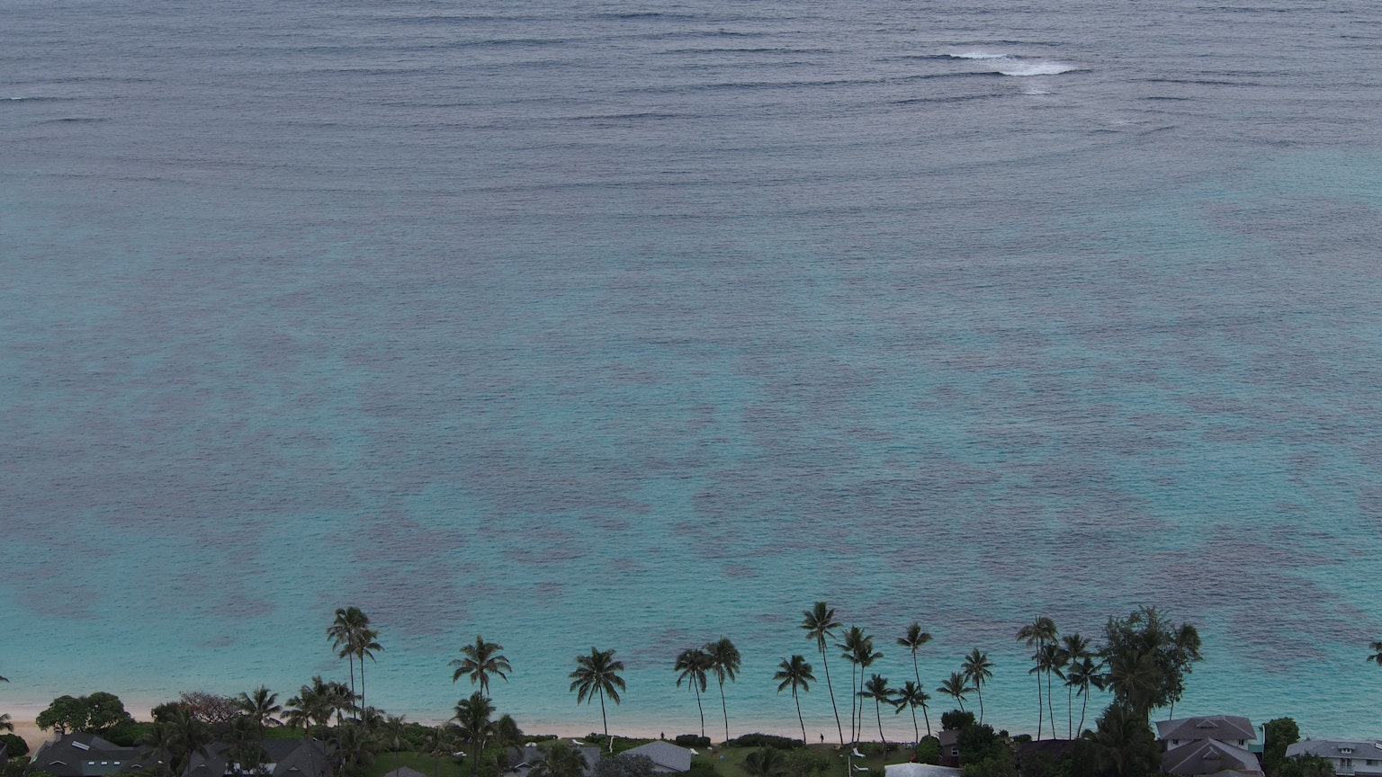 Vue aérienne de l'eau turquoise et de la plage de sable blanc bordée de palmiers