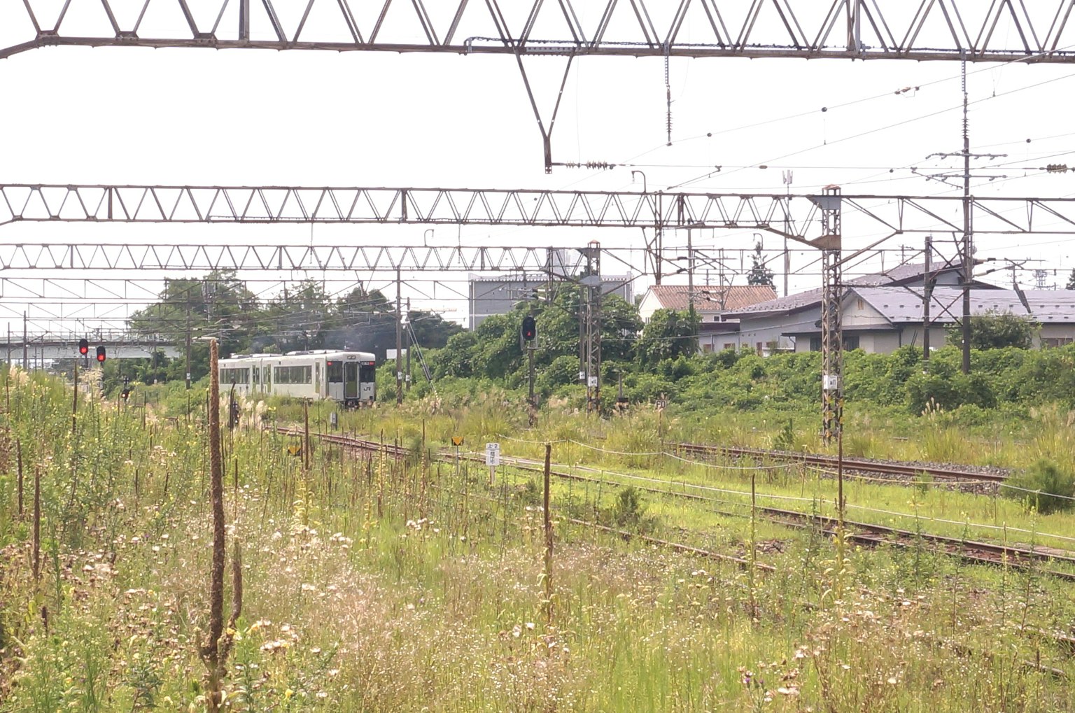 A grassy railway scene with a train in view