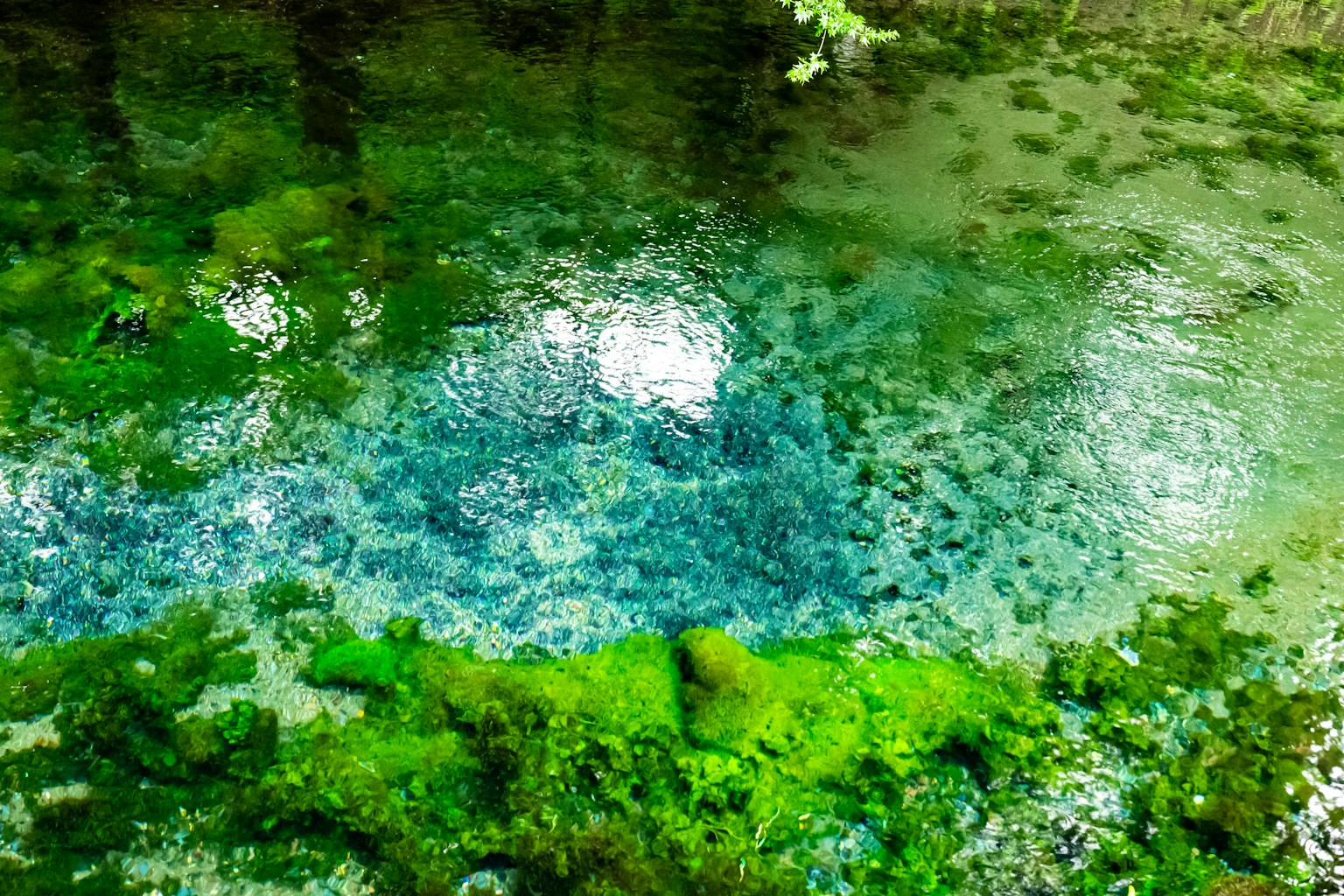 Natürliche Quelle umgeben von blauem Wasser und grünem Moos