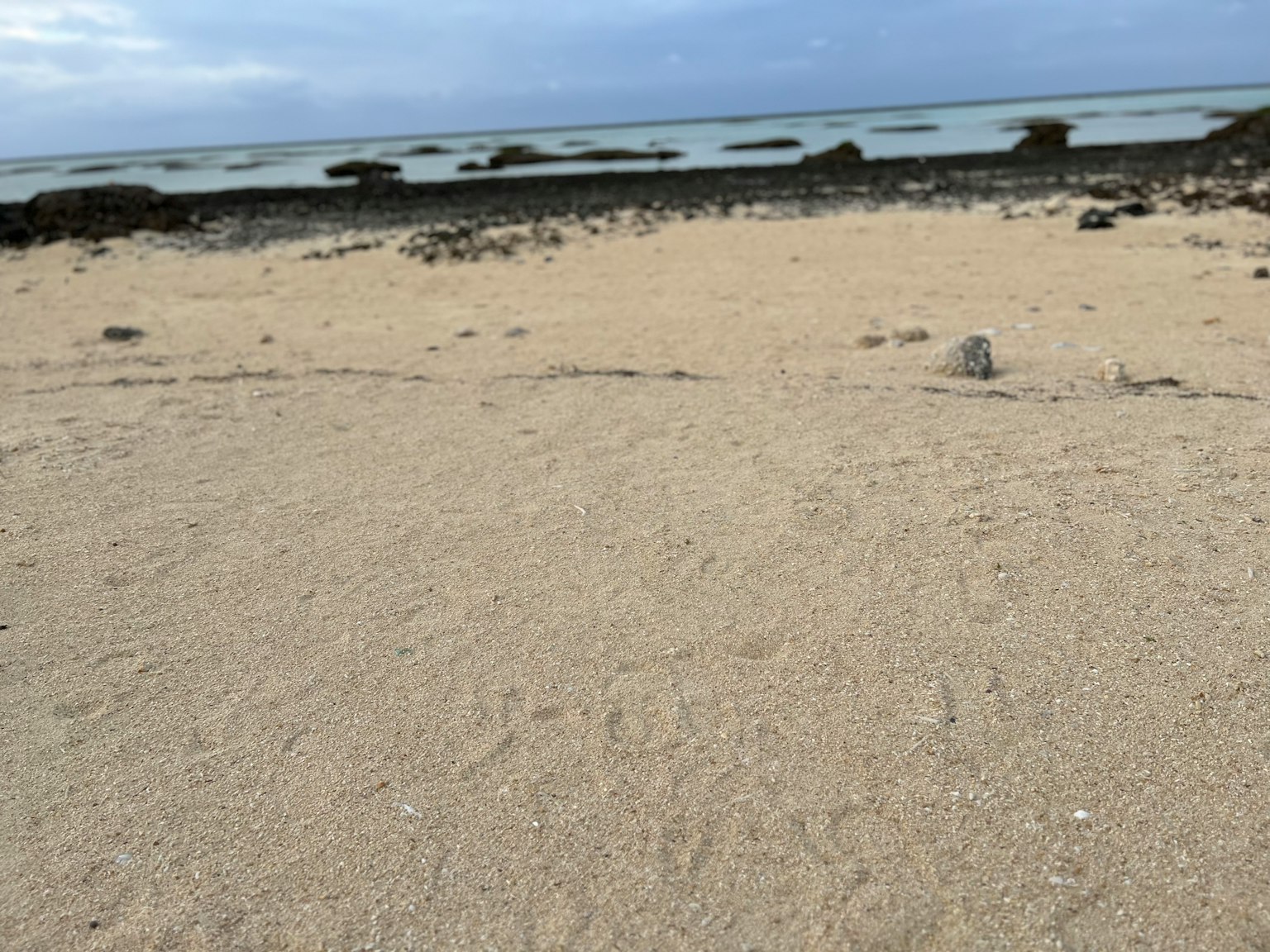 Une plage de sable avec vue sur la mer sous un ciel nuageux