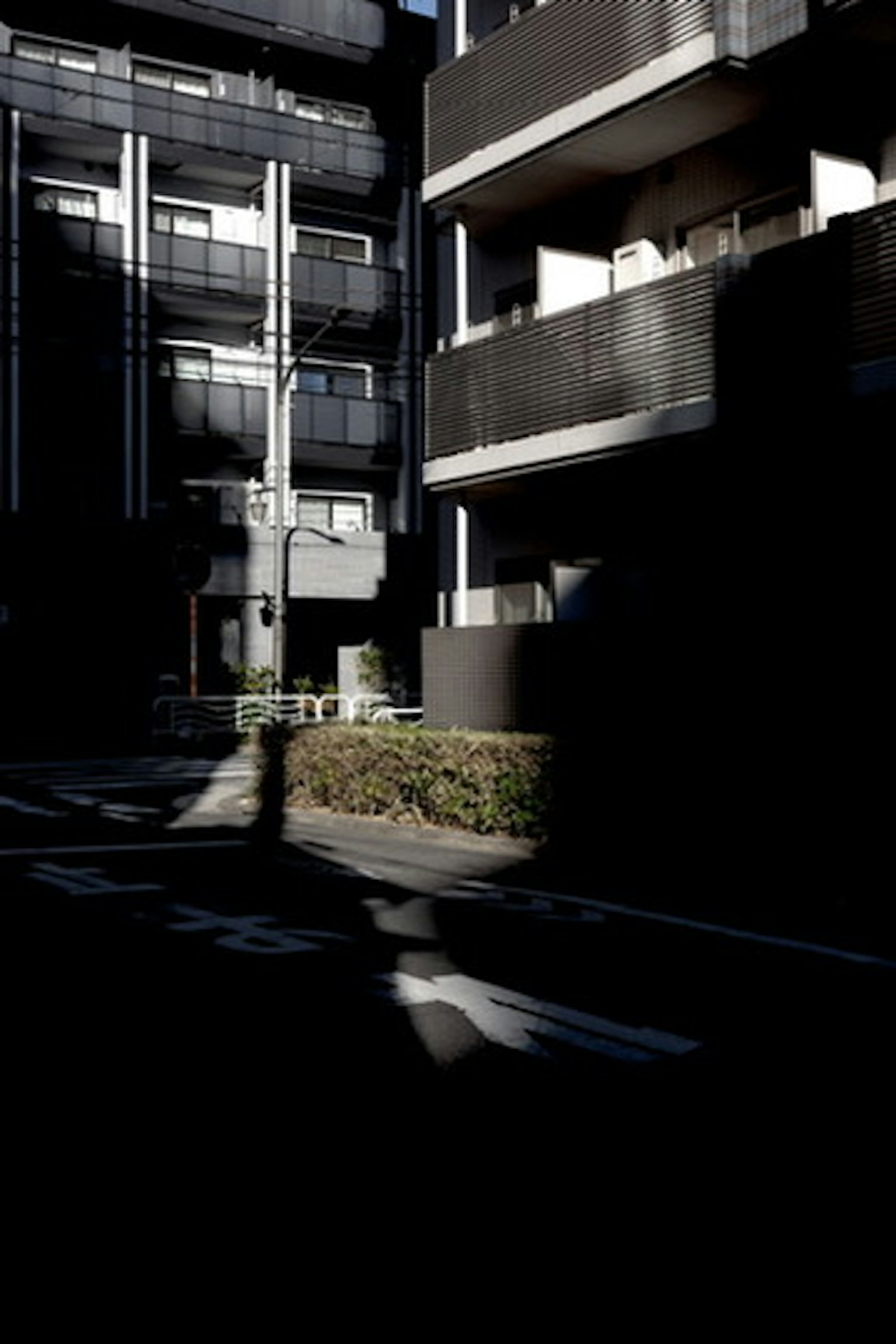 Scène de rue sombre avec des bâtiments et de la verdure