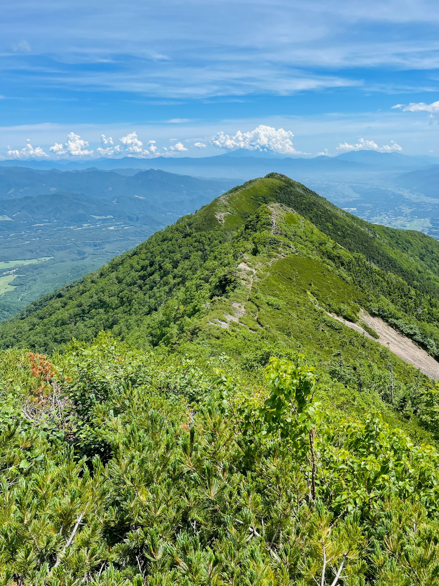 Une belle vue panoramique depuis le sommet d'une montagne verte