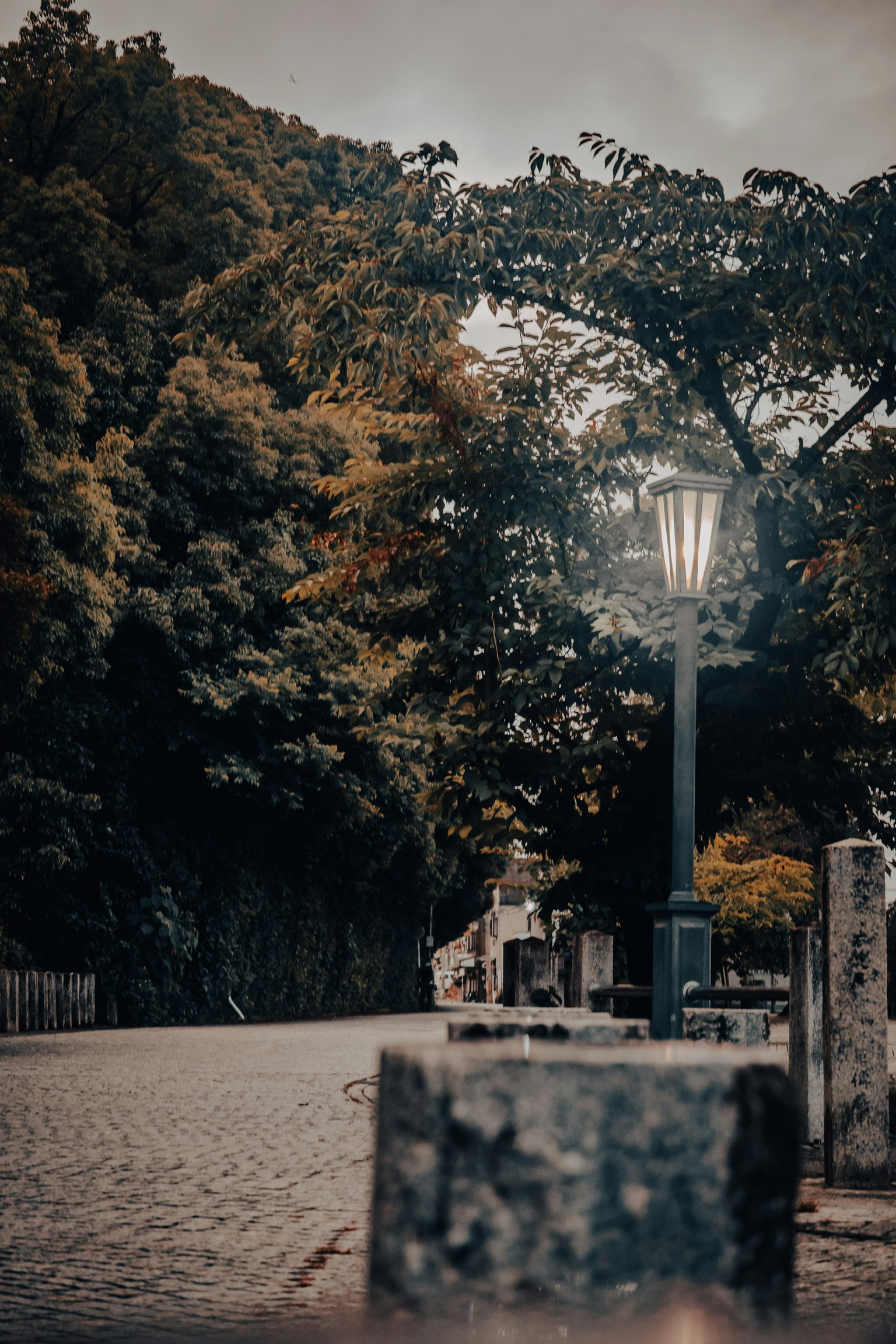 A quiet path featuring a street lamp and autumn trees