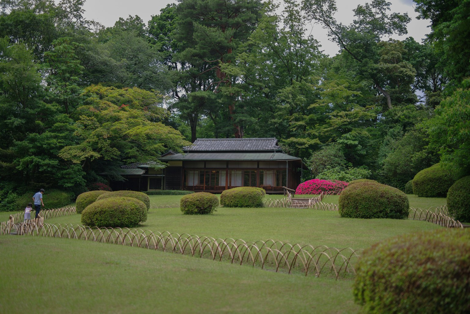 Traditionelle japanische Gartenansicht mit einem Holzhaus umgeben von üppigem Grün und ordentlich geschnittenen Büschen