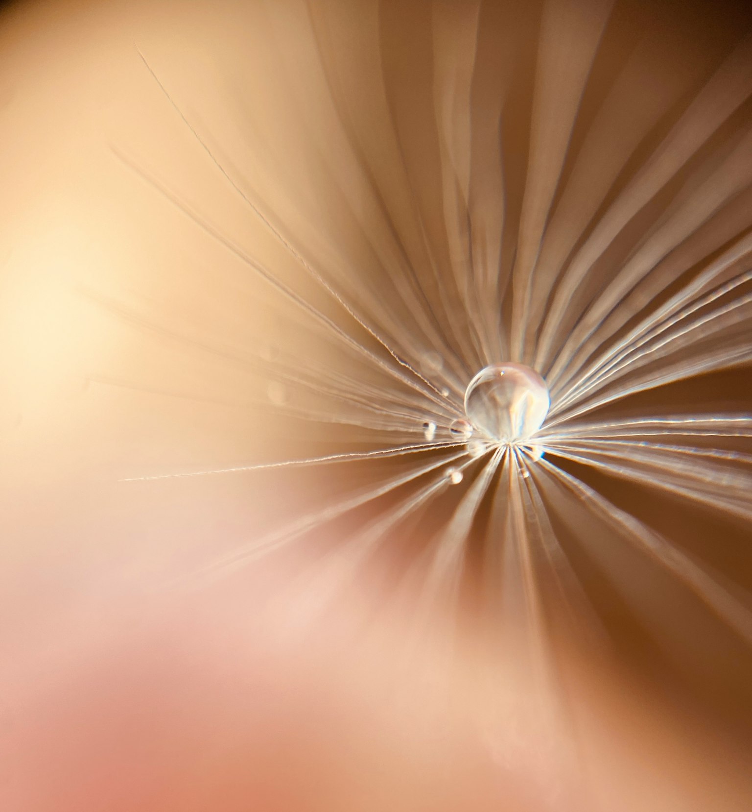 Motifs délicats rayonnant autour d'une goutte d'eau