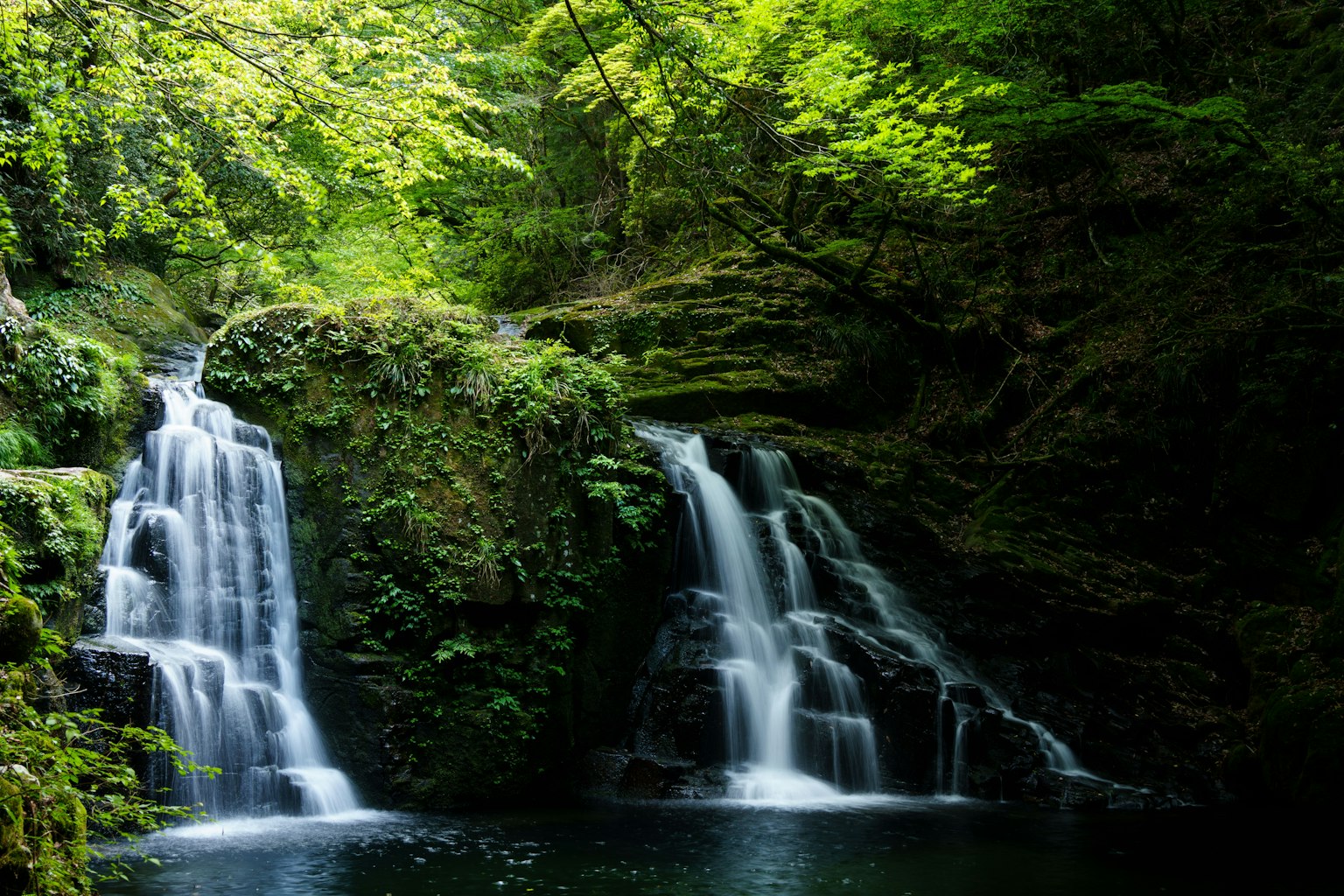Bellissimo scenario di due cascate che scorrono in una foresta lussureggiante