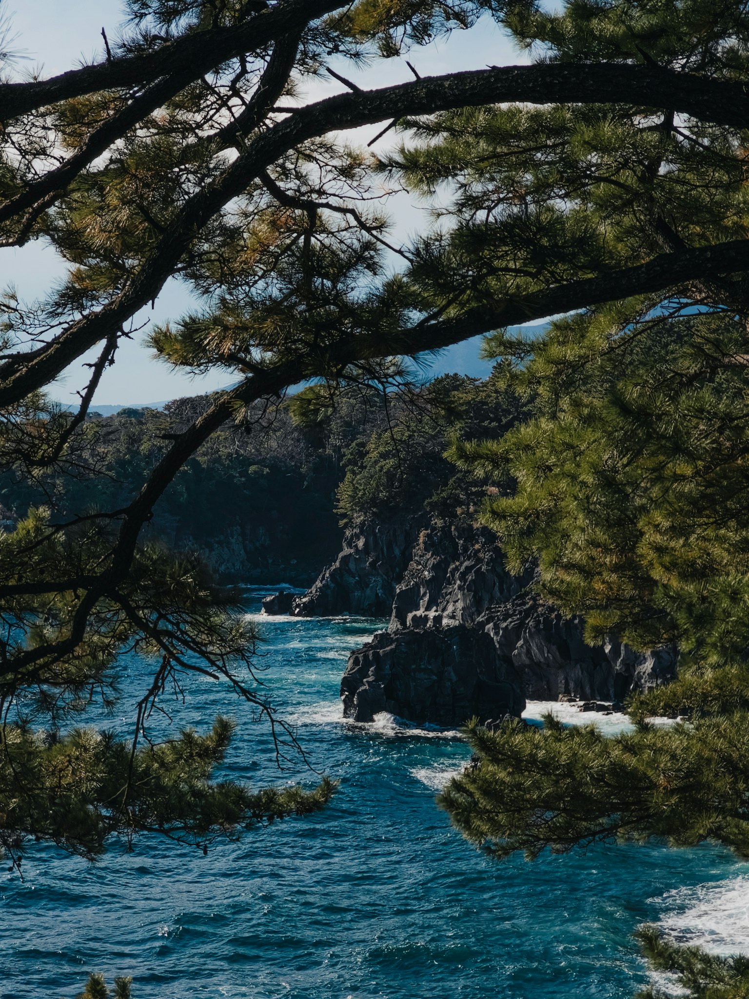 Vista escénica del océano azul y la costa rocosa enmarcada por ramas de árboles