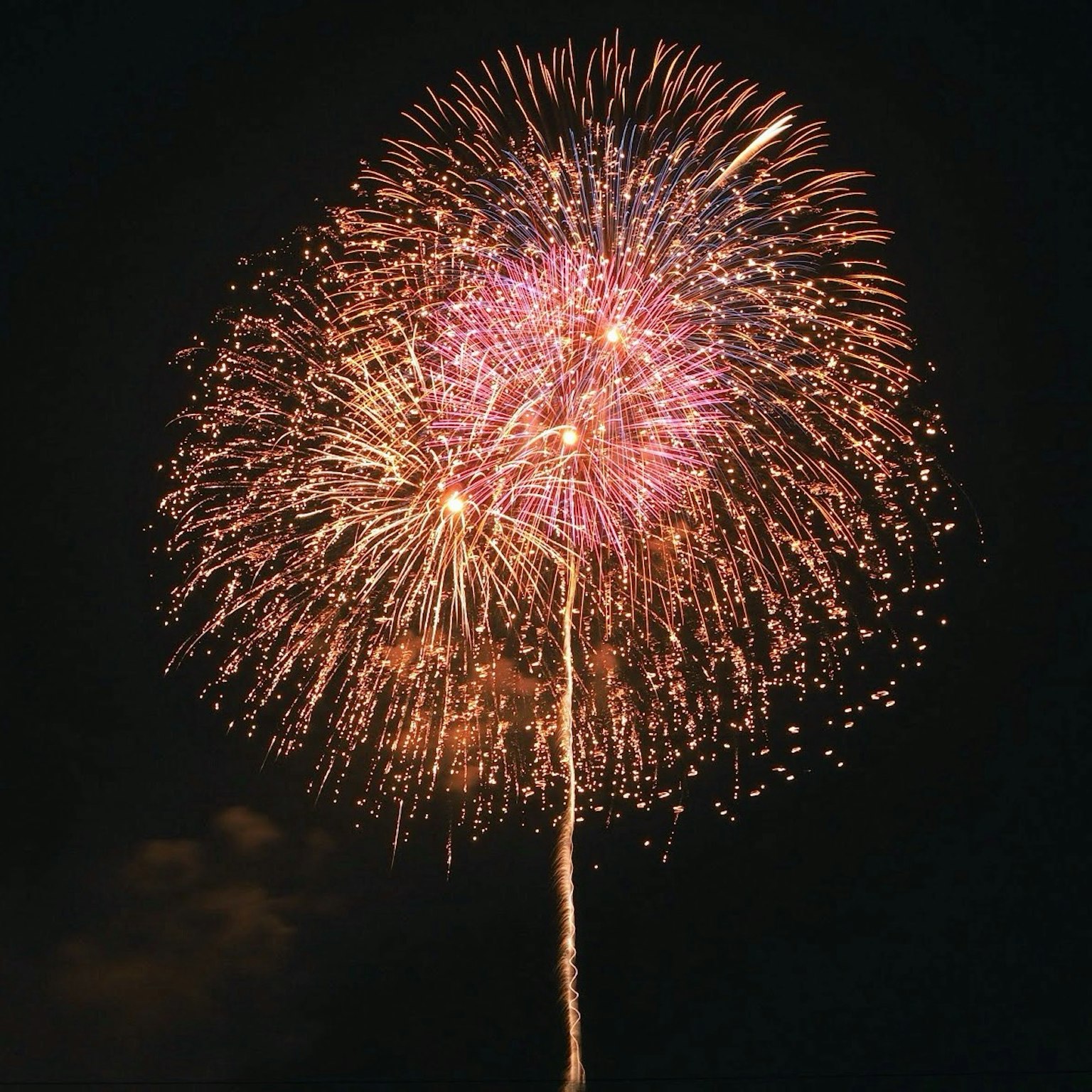 Colorful fireworks bursting in the night sky