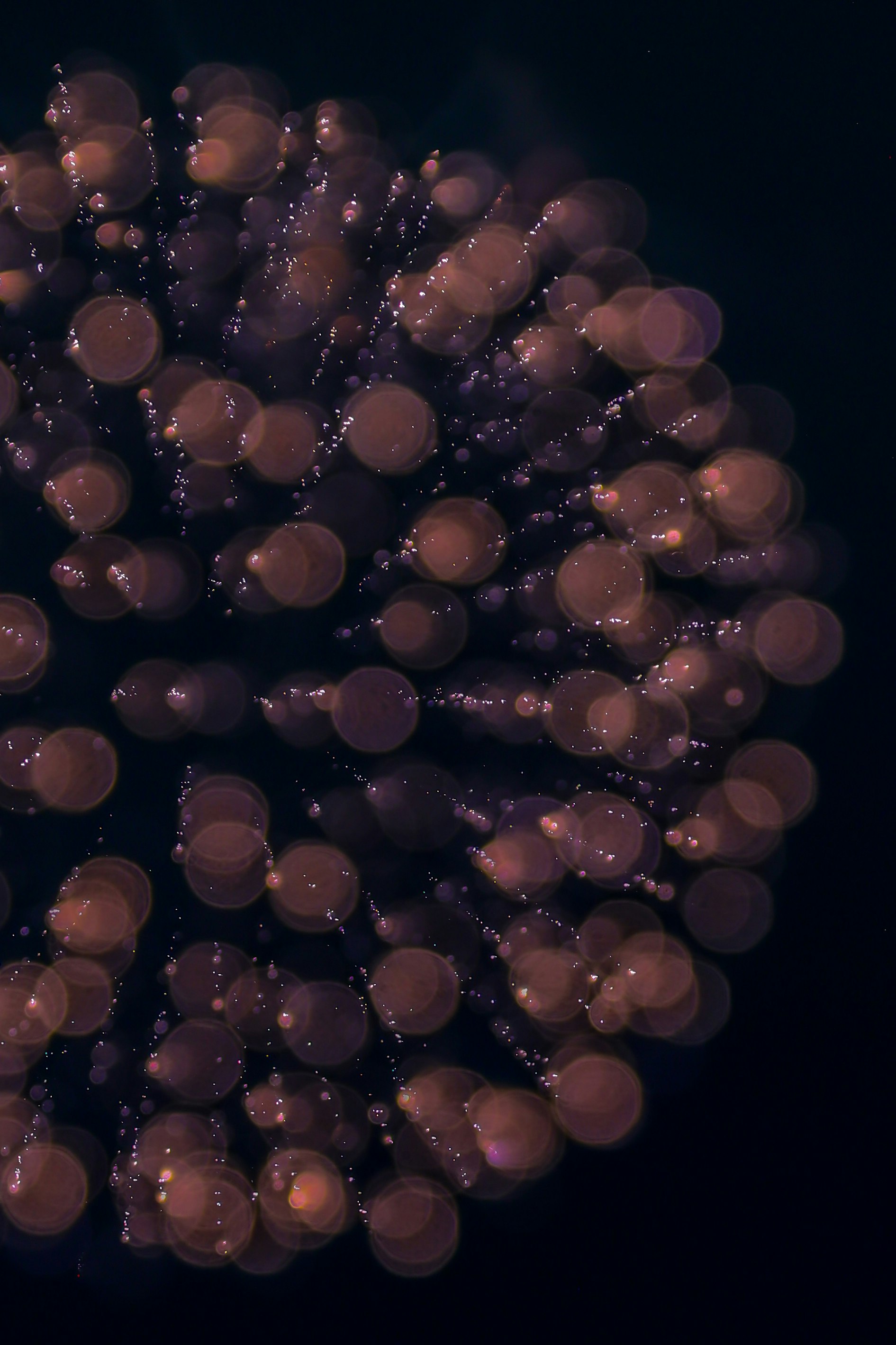 particules dorées flottantes et lumière façon bulles sur fond sombre