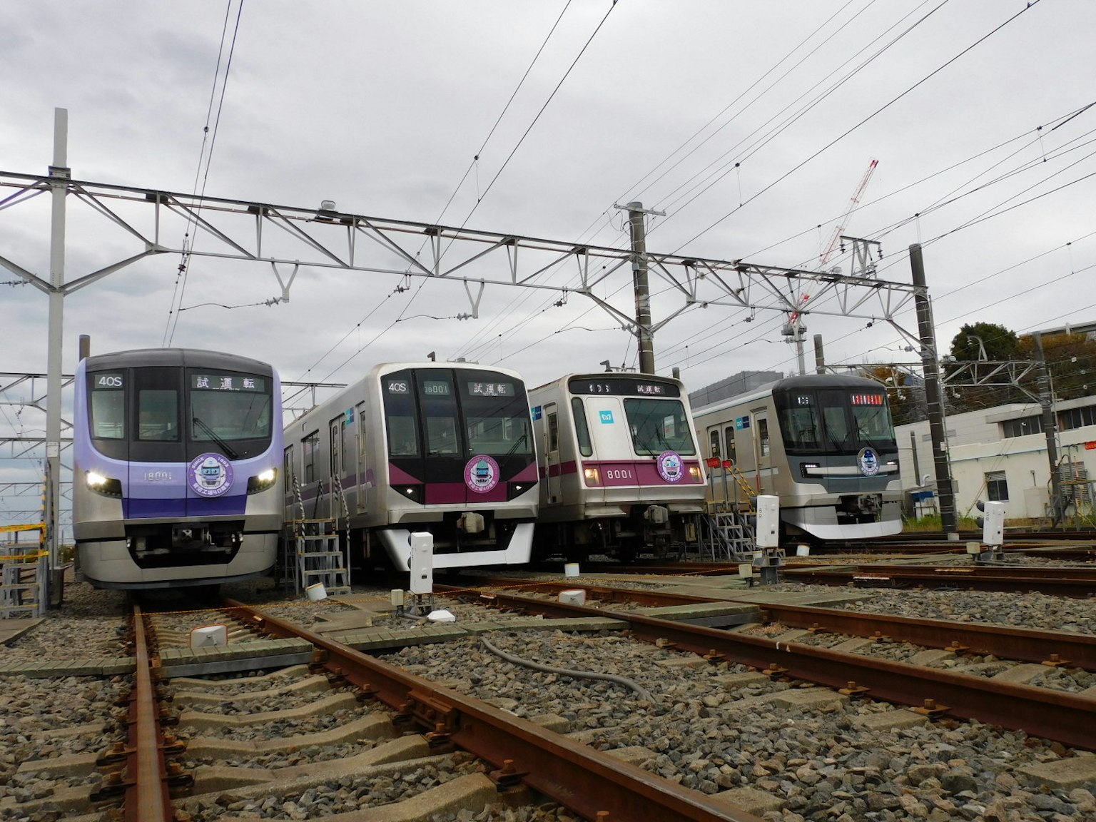 Múltiples trenes alineados en vías ferroviarias con líneas aéreas visibles