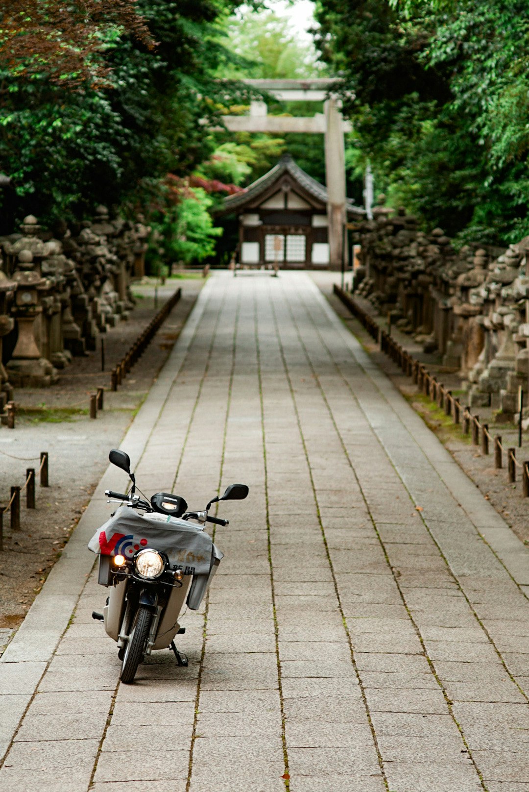 photo-LniotgTQthHvG7V29M1J-image