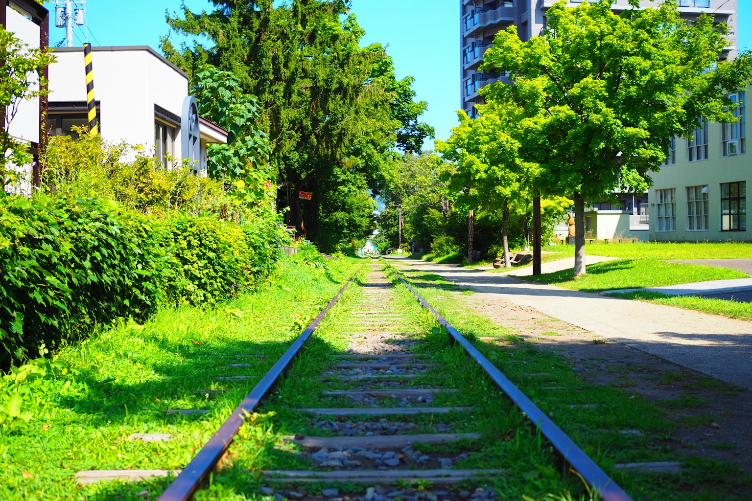 Verlassene Eisenbahnschienen umgeben von Grün und Gebäuden